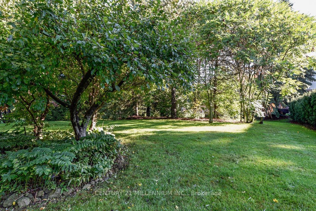5 Snowberry Court Property Photo 42