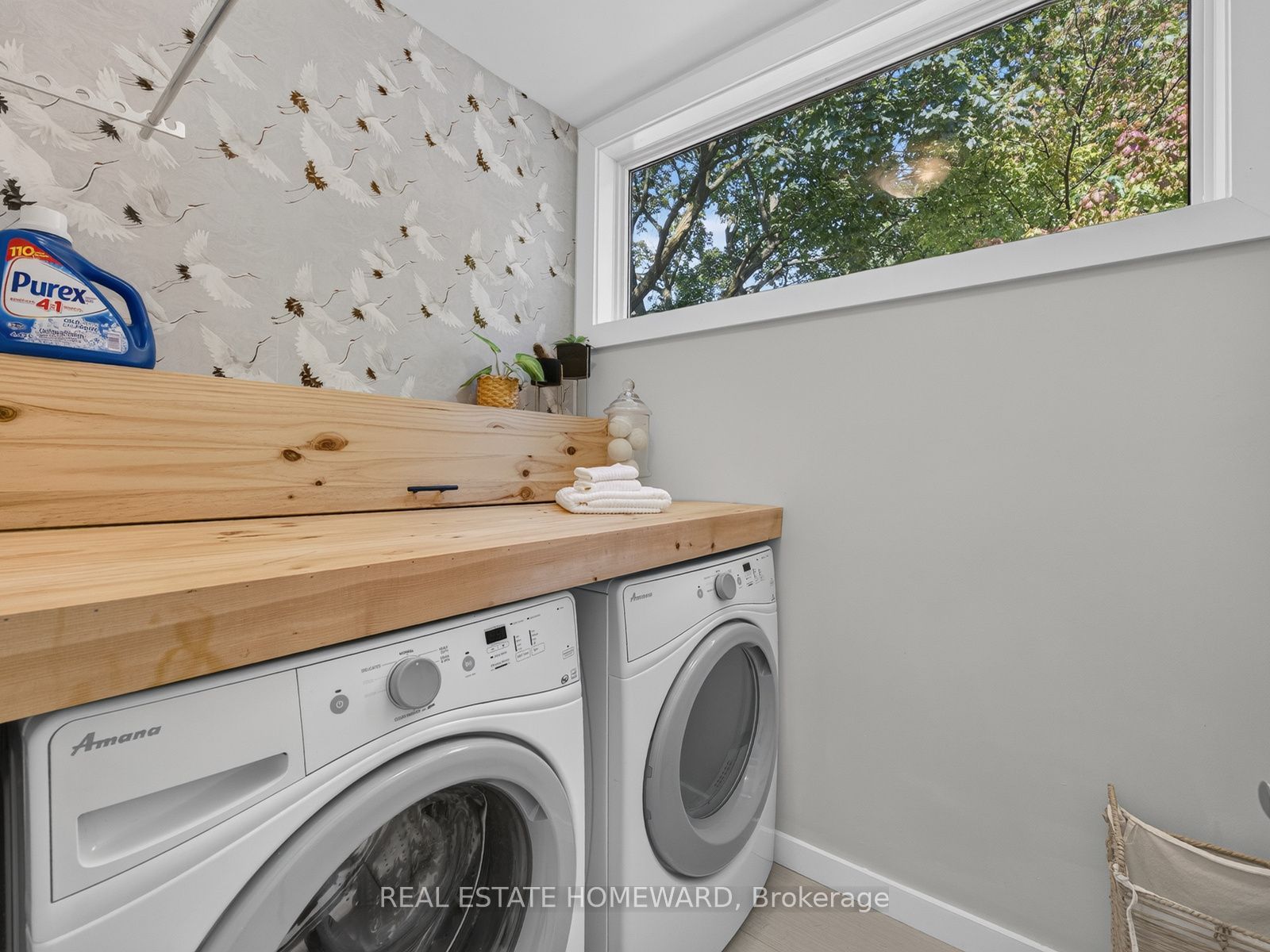 69 Ringley Avenue Property Photo 24