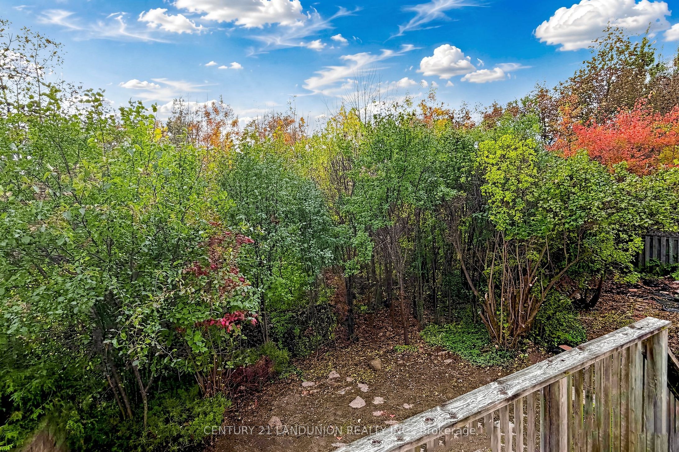 4223 Lastrada Heights Property Photo 33