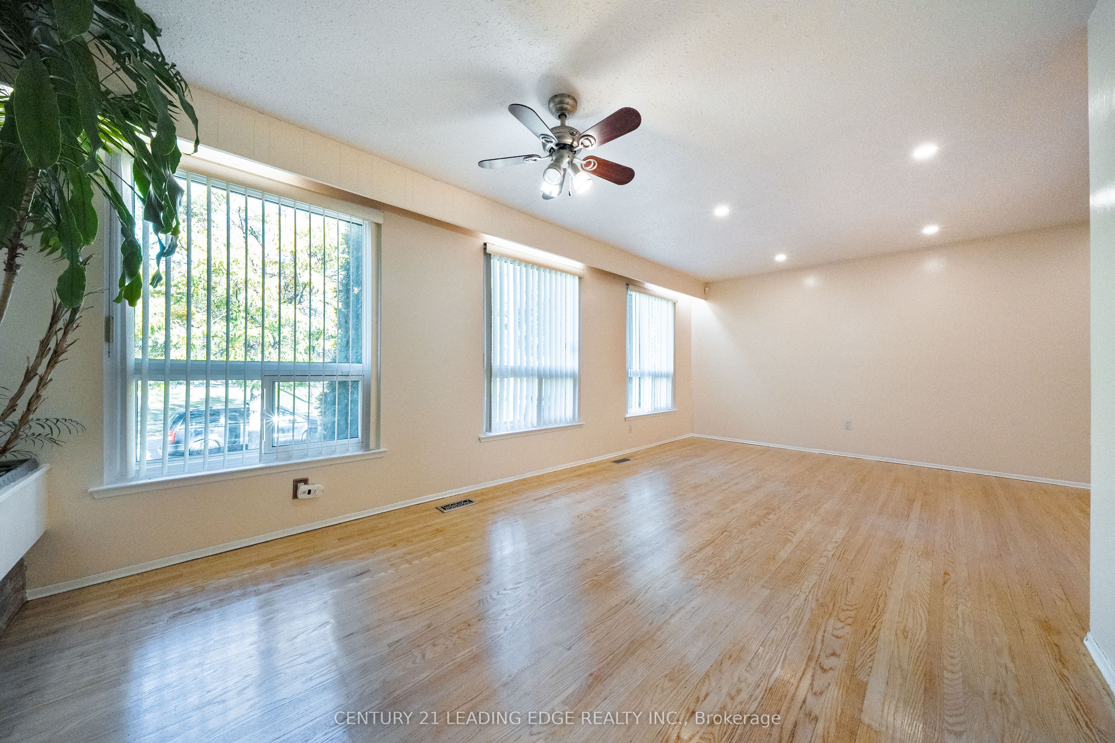 63 Mercury Road Property Photo 7