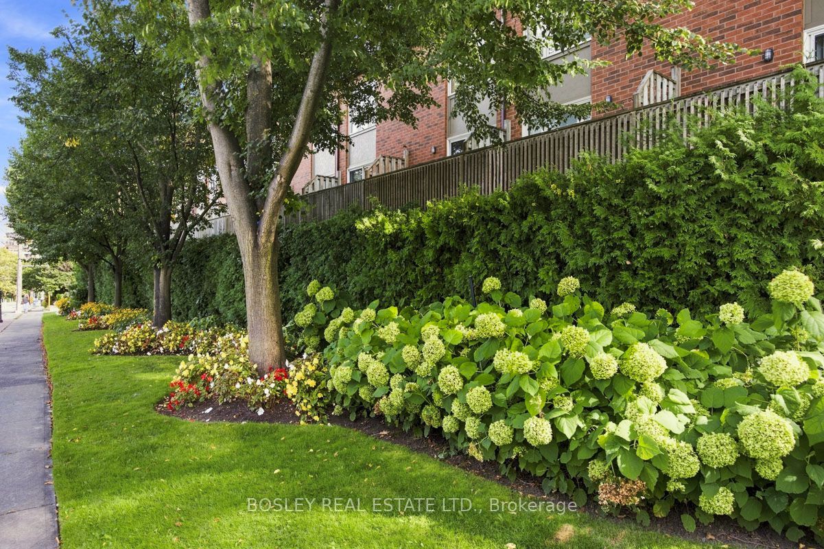 64 Old Mill Terrace 3 Property Photo 1