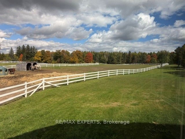 13510 Fifth Line Property Photo 15