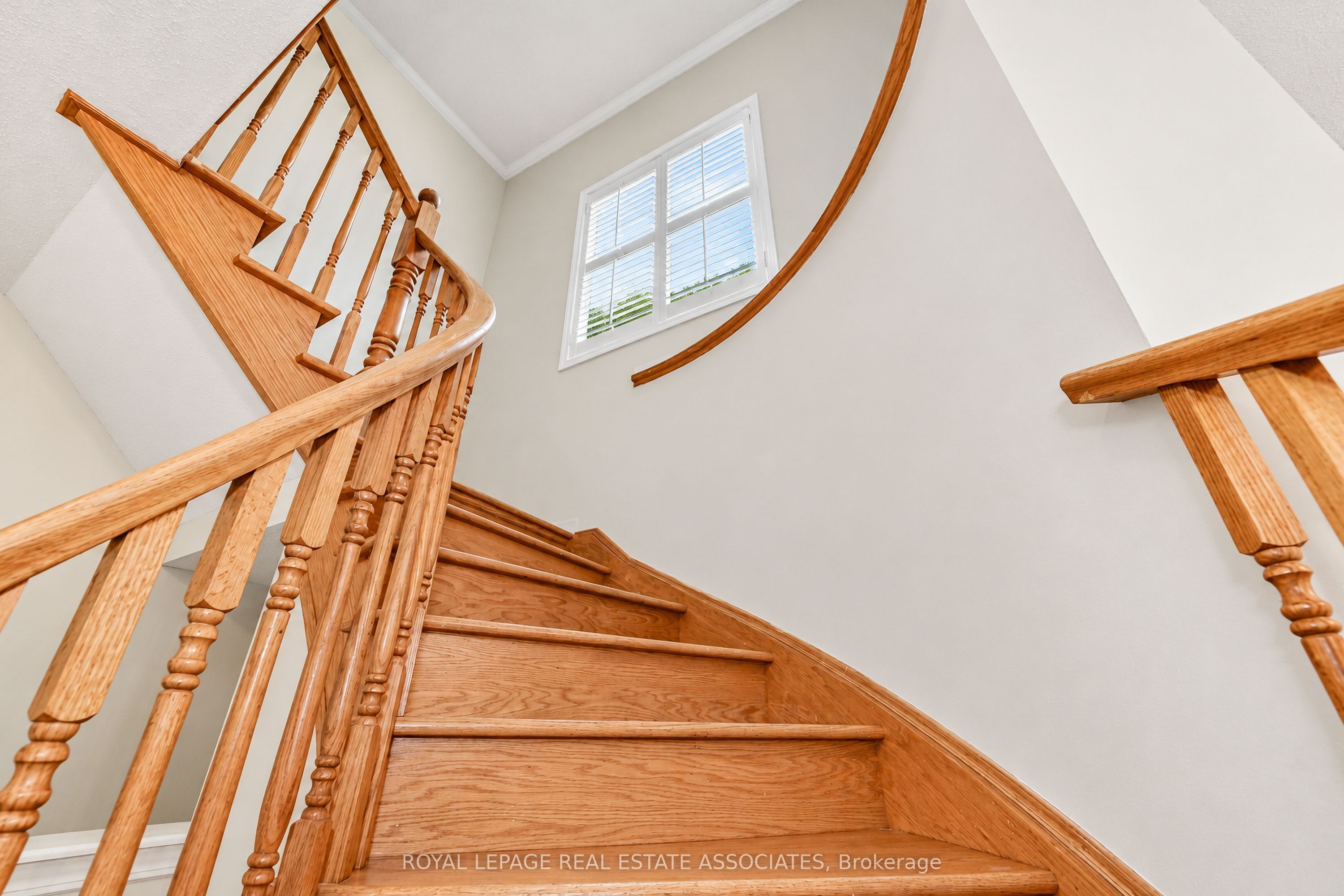 54 Horizon Street Property Photo 21