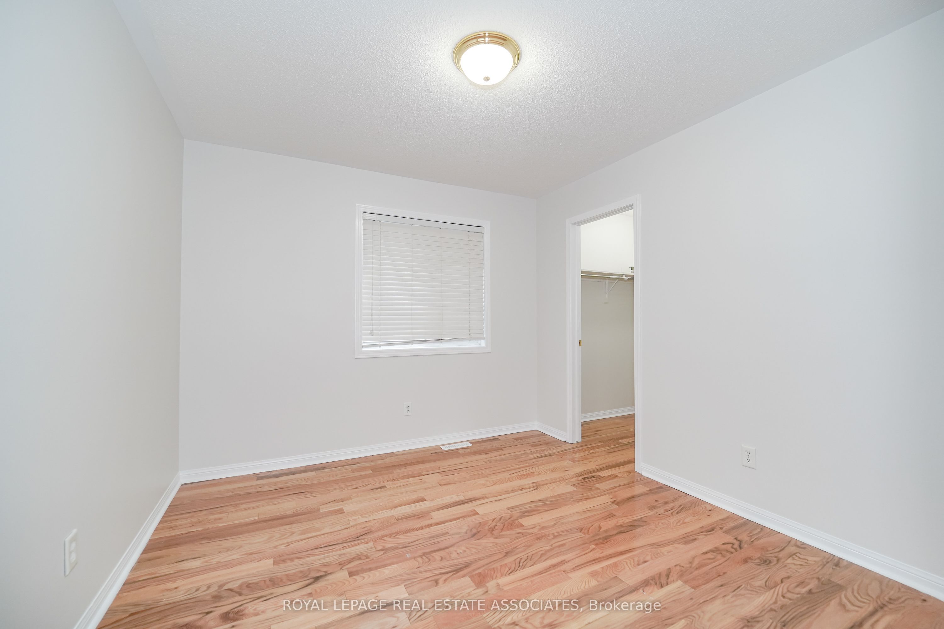 54 Horizon Street Property Photo 36
