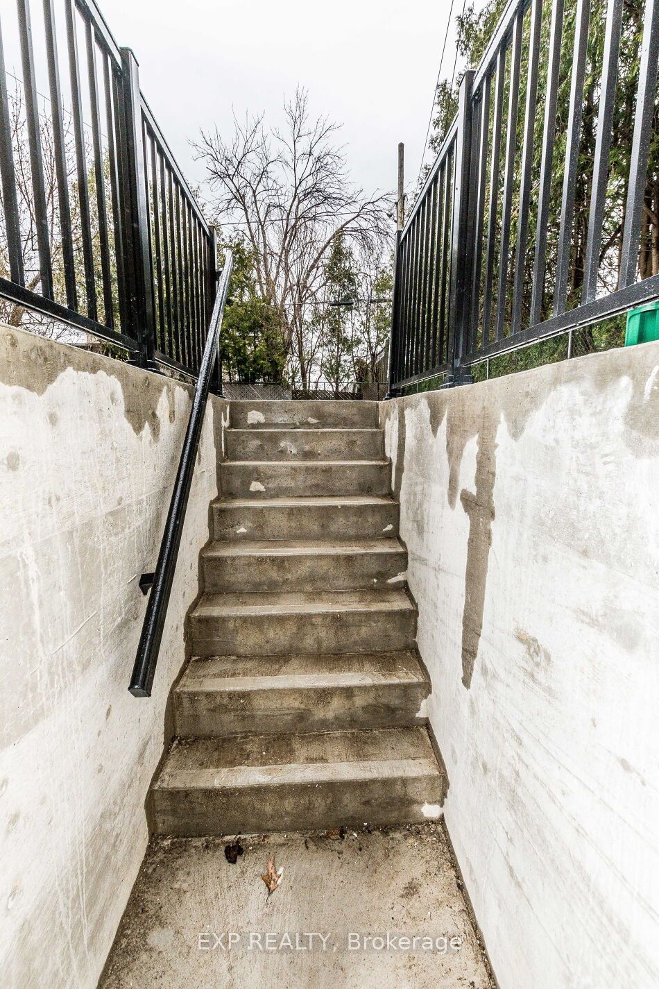 91 Corby Crescent Basement Apartment Property Photo 2