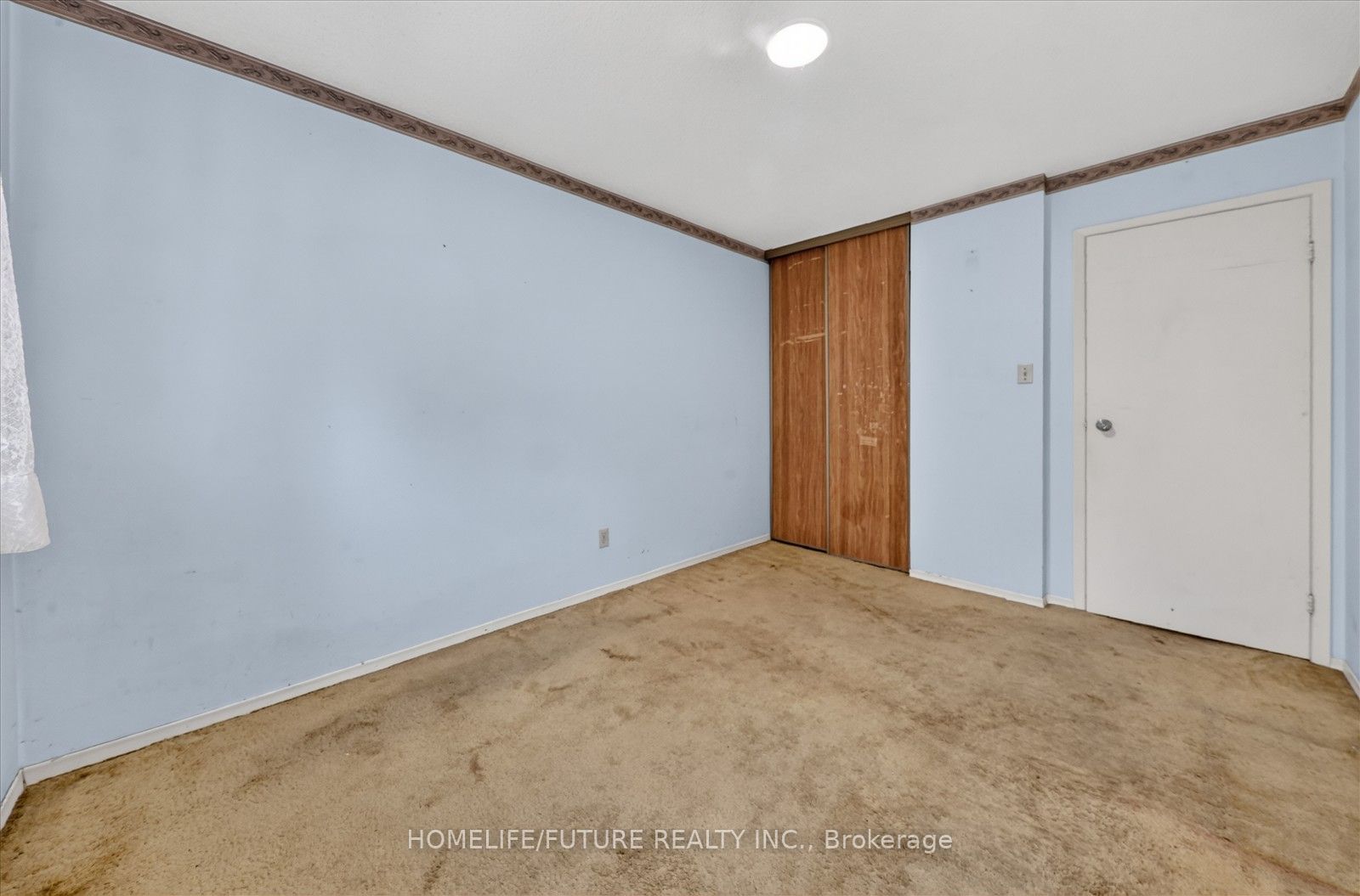 7 Winterfold Drive Property Photo 25