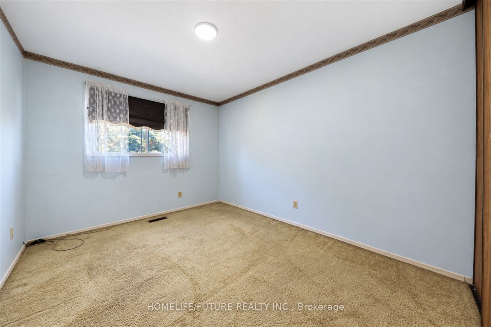 7 Winterfold Drive Property Photo 26