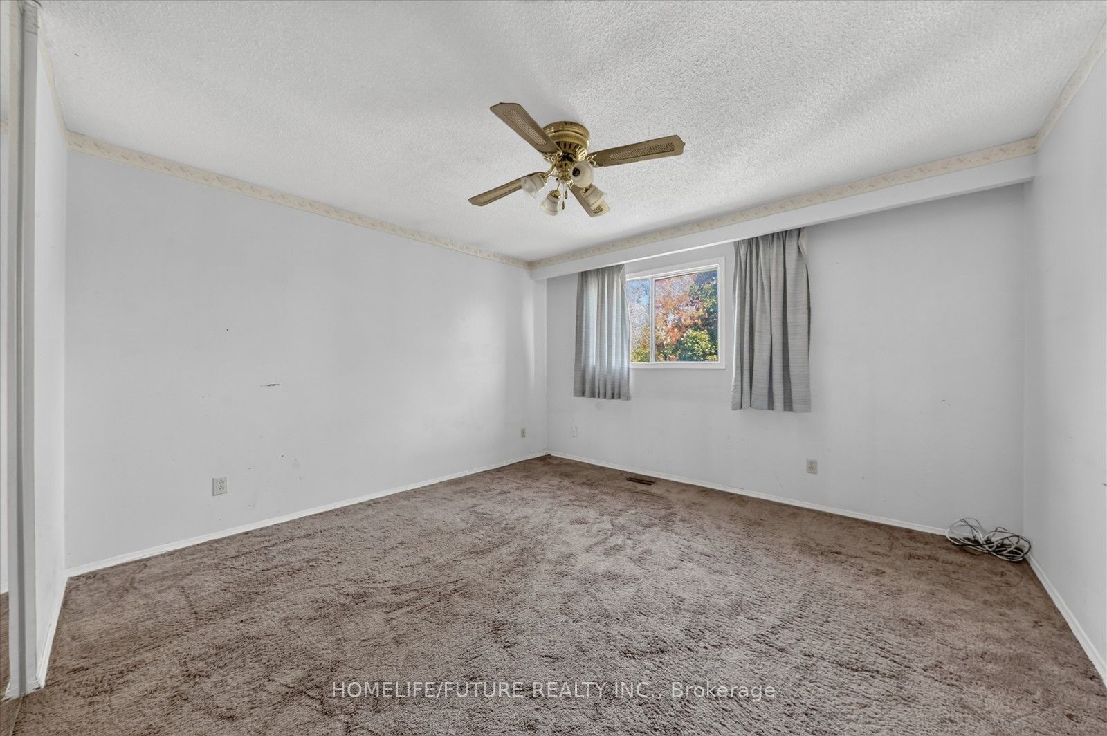 7 Winterfold Drive Property Photo 27