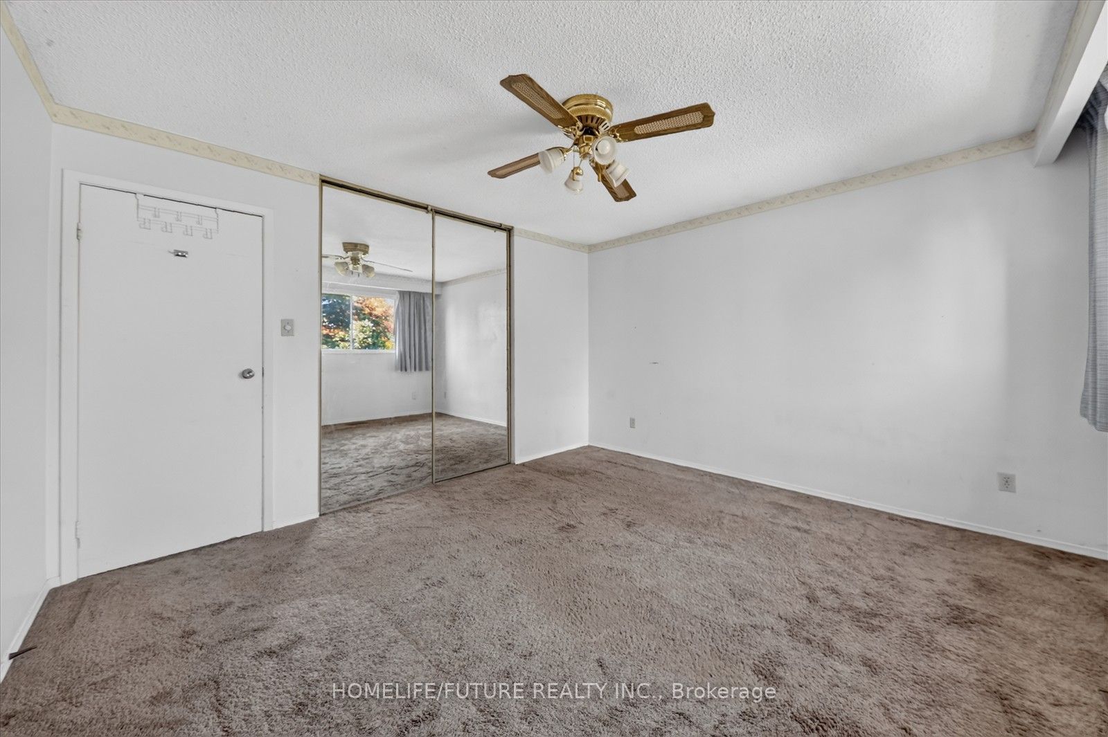 7 Winterfold Drive Property Photo 28