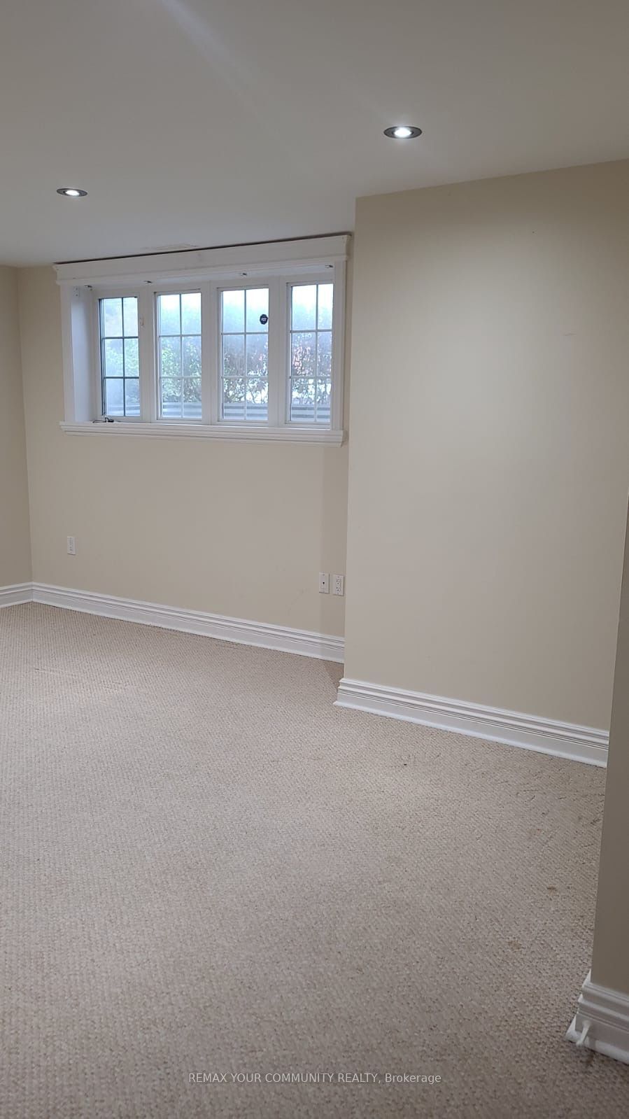 39 Treeline Boulevard Basem. Property Photo 4