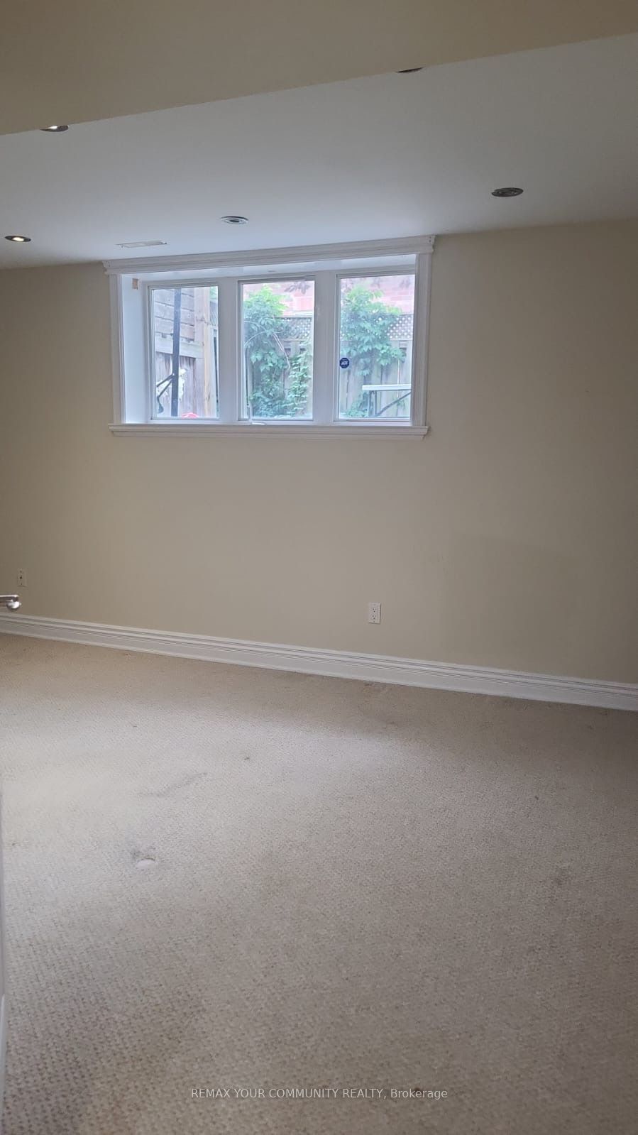 39 Treeline Boulevard Basem. Property Photo 9
