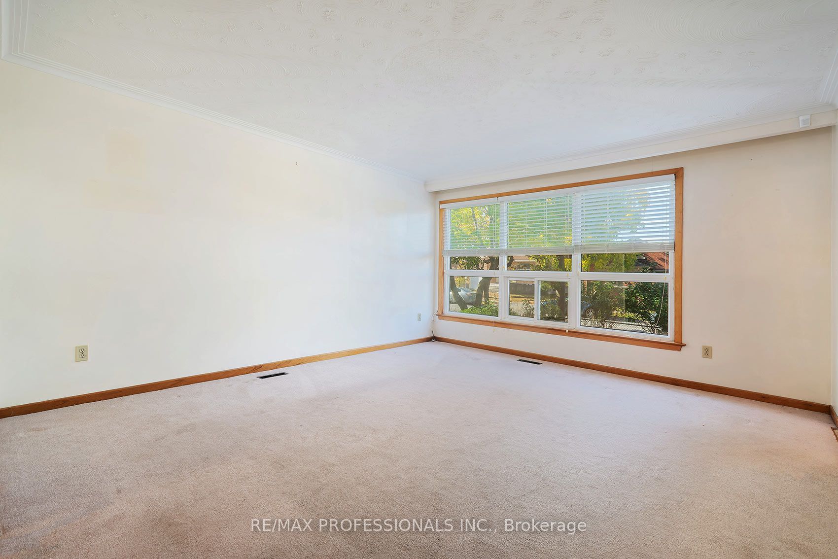 61 Rosemeade Avenue Property Photo 10