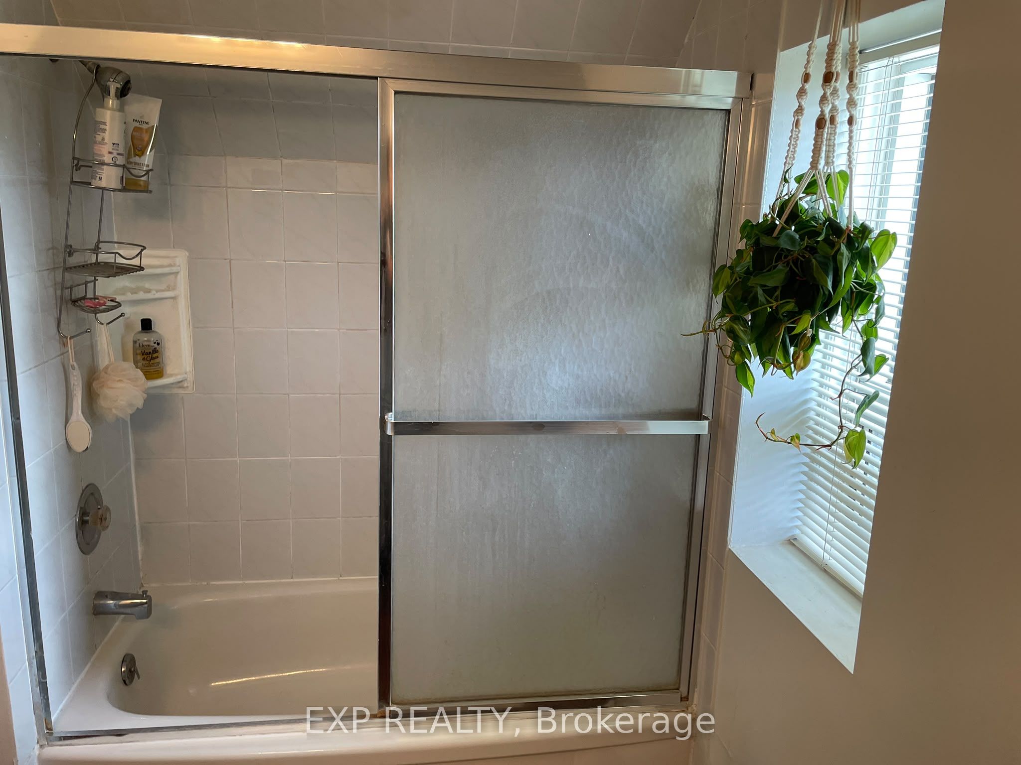 223 Evelyn Avenue Apt. #2 Property Photo 16