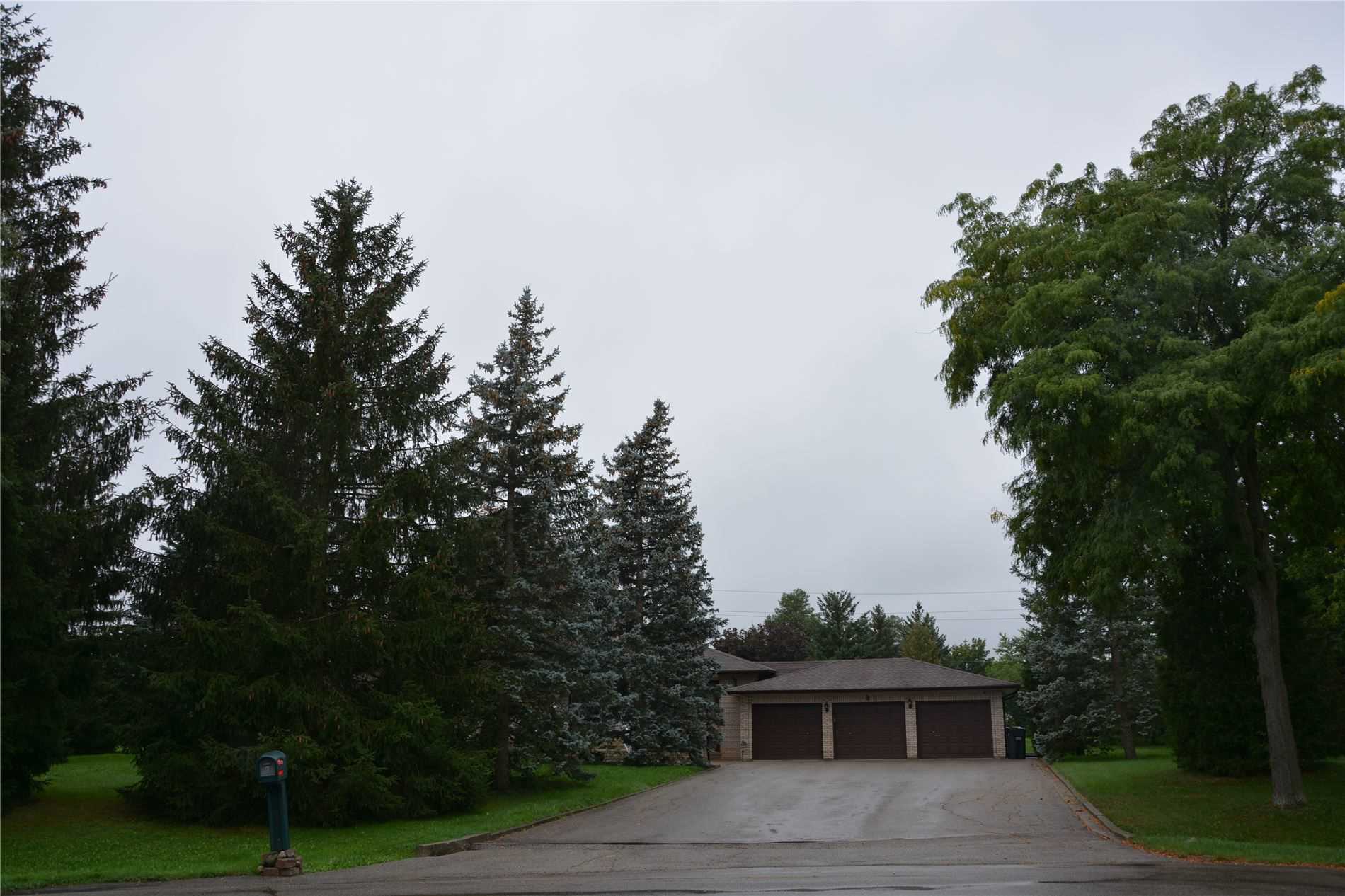 6 Forestbrook Crt Property Photo 1