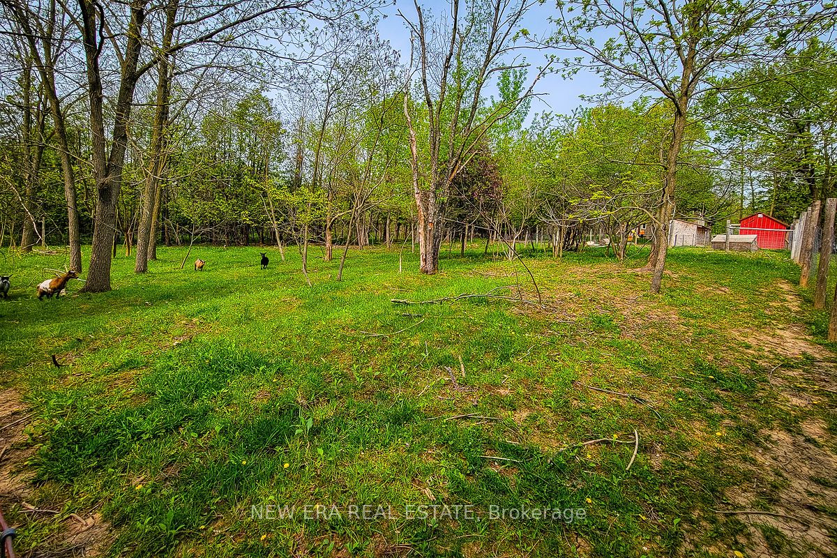4130 Derry Rd Property Photo 15