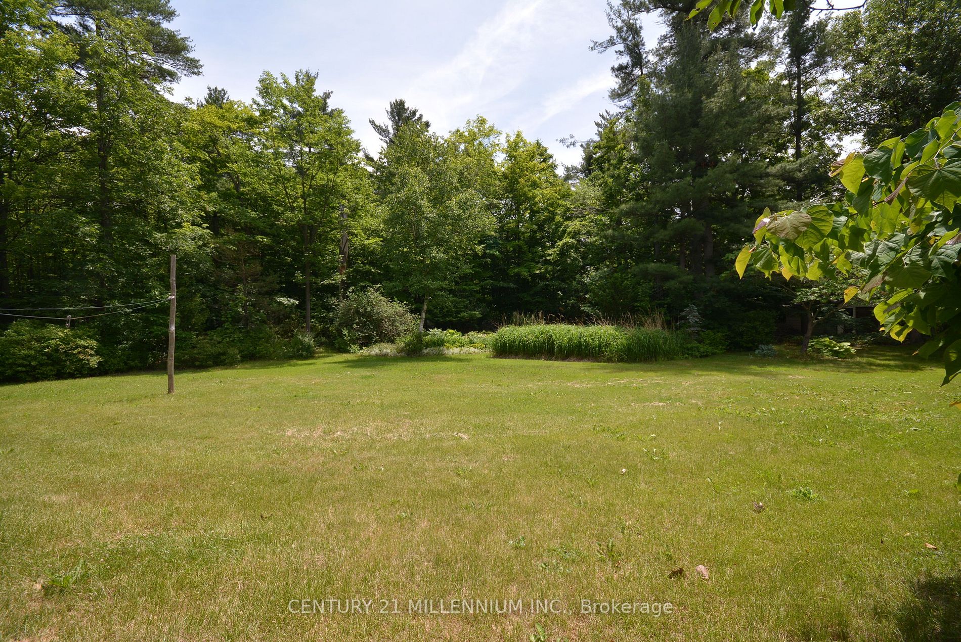 1036 Burnhamthorpe Rd W Property Photo 4