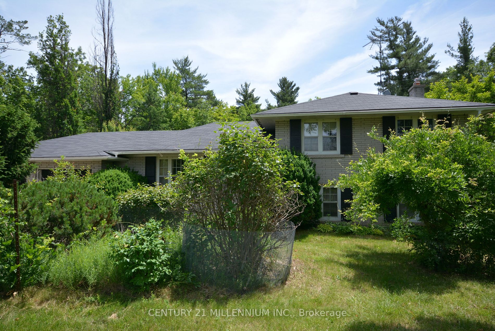 1036 Burnhamthorpe Rd W Property Photo 6