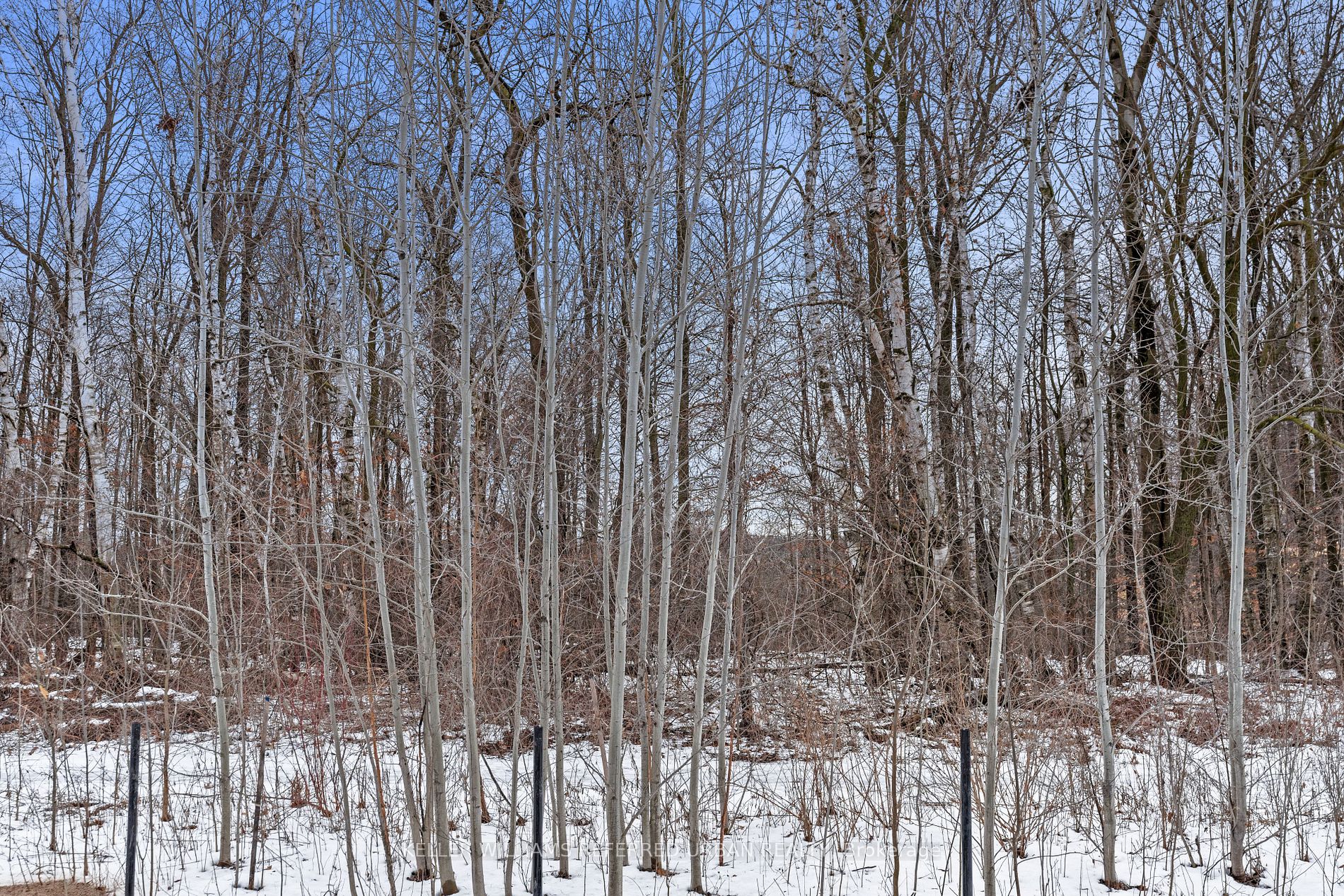 50 Knotsberry Circ N/a Property Photo 29