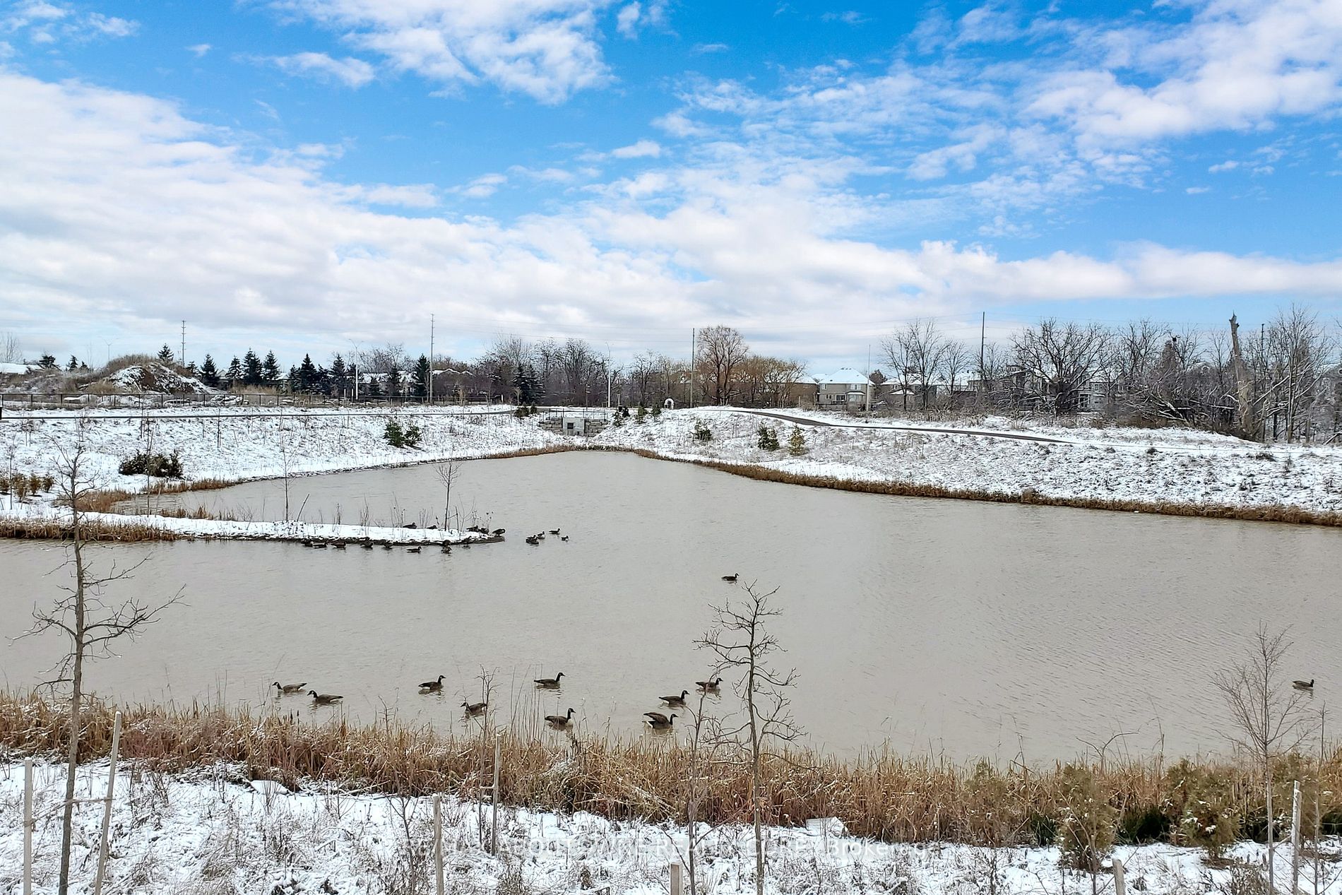 1397 Shevchenko Blvd Property Photo 37