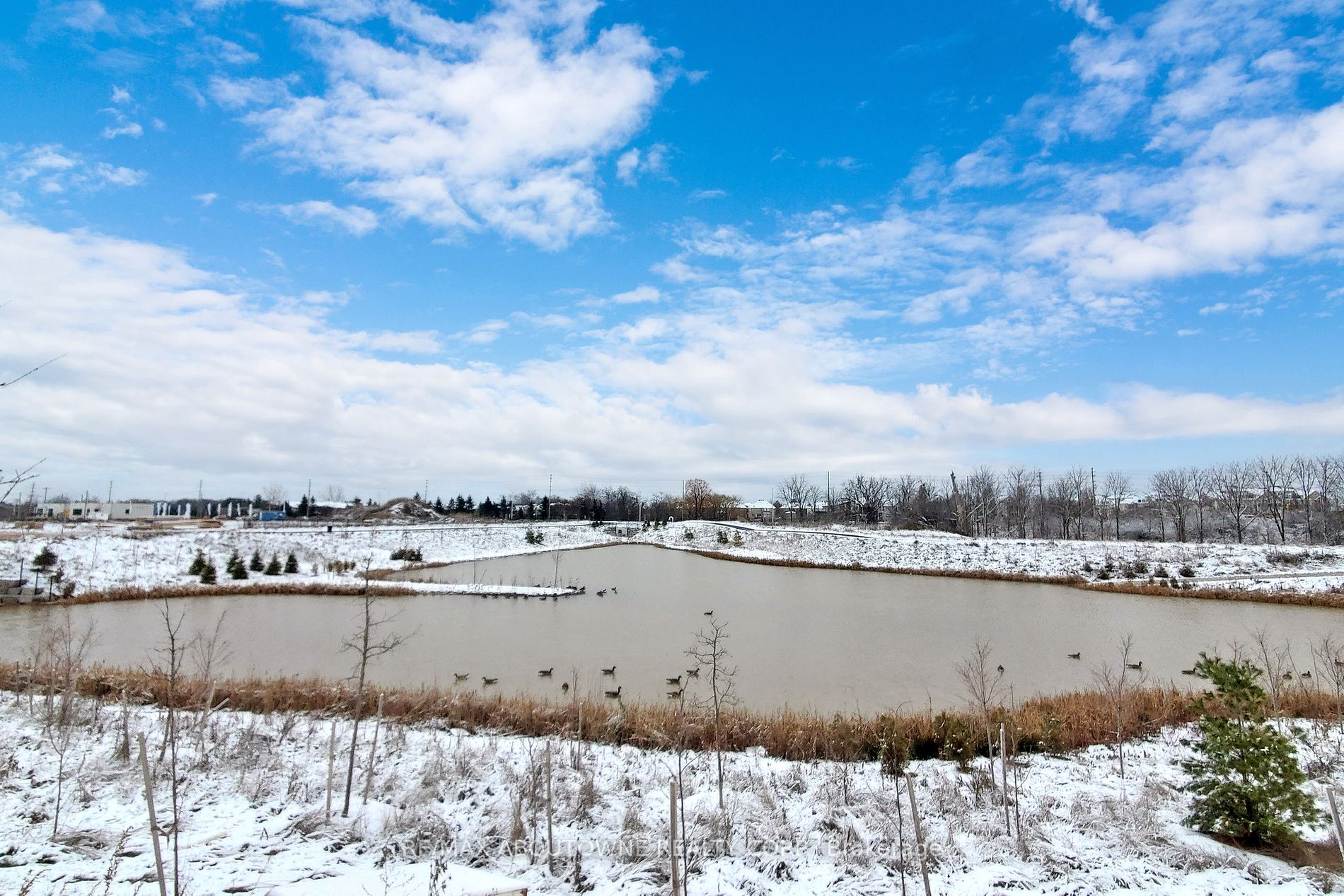 1397 Shevchenko Blvd Property Photo 38