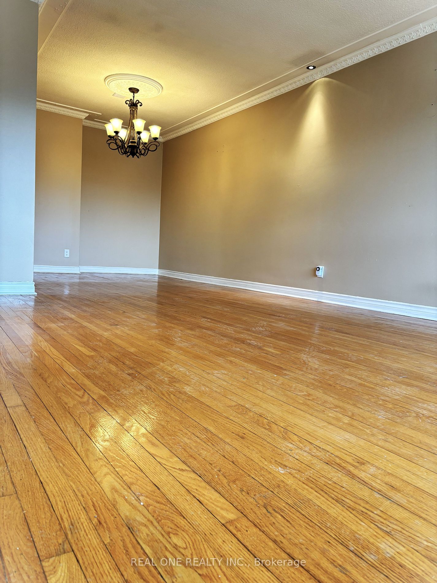 3406 Ellengale Dr Property Photo 5