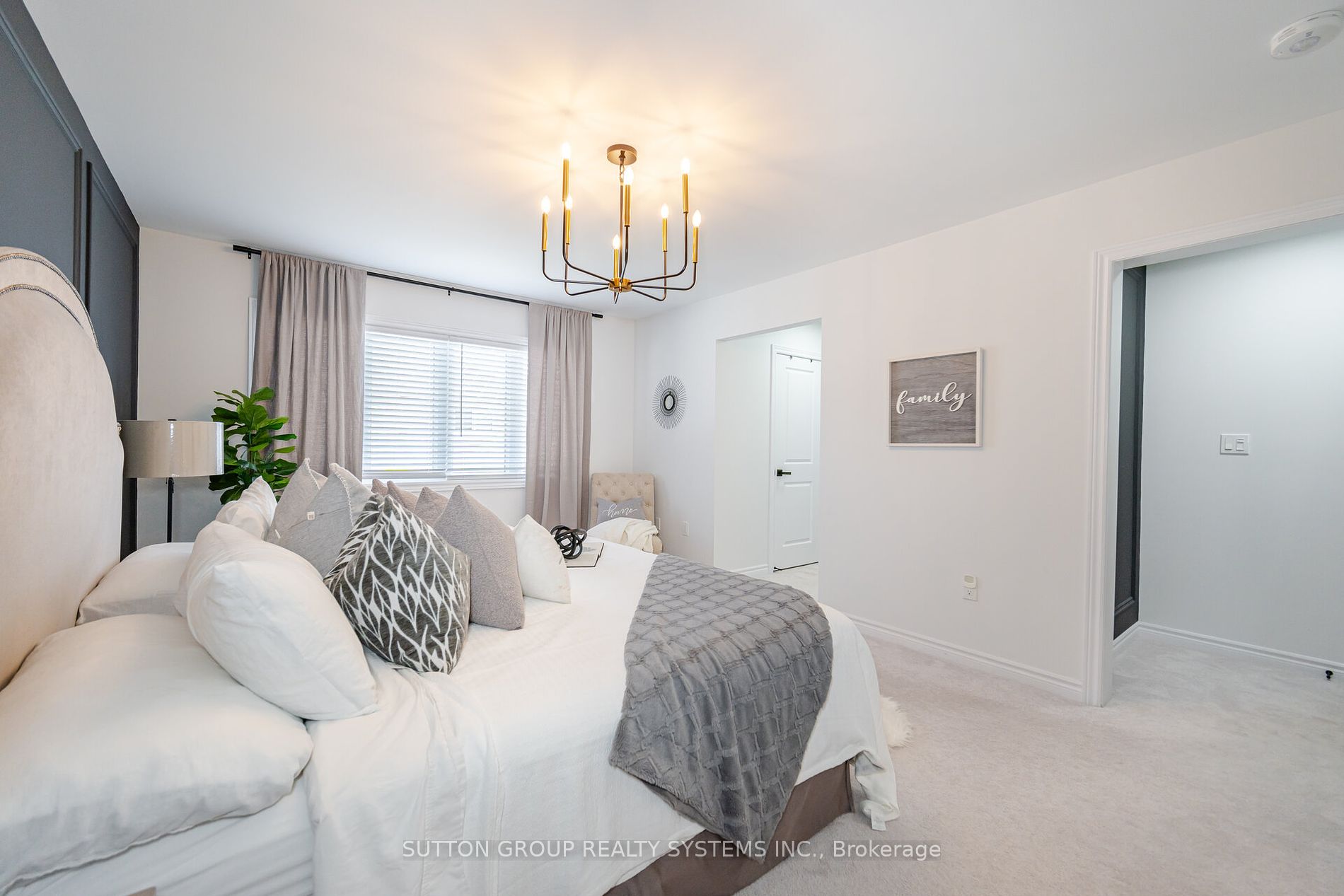 19 Portman St Property Photo 17