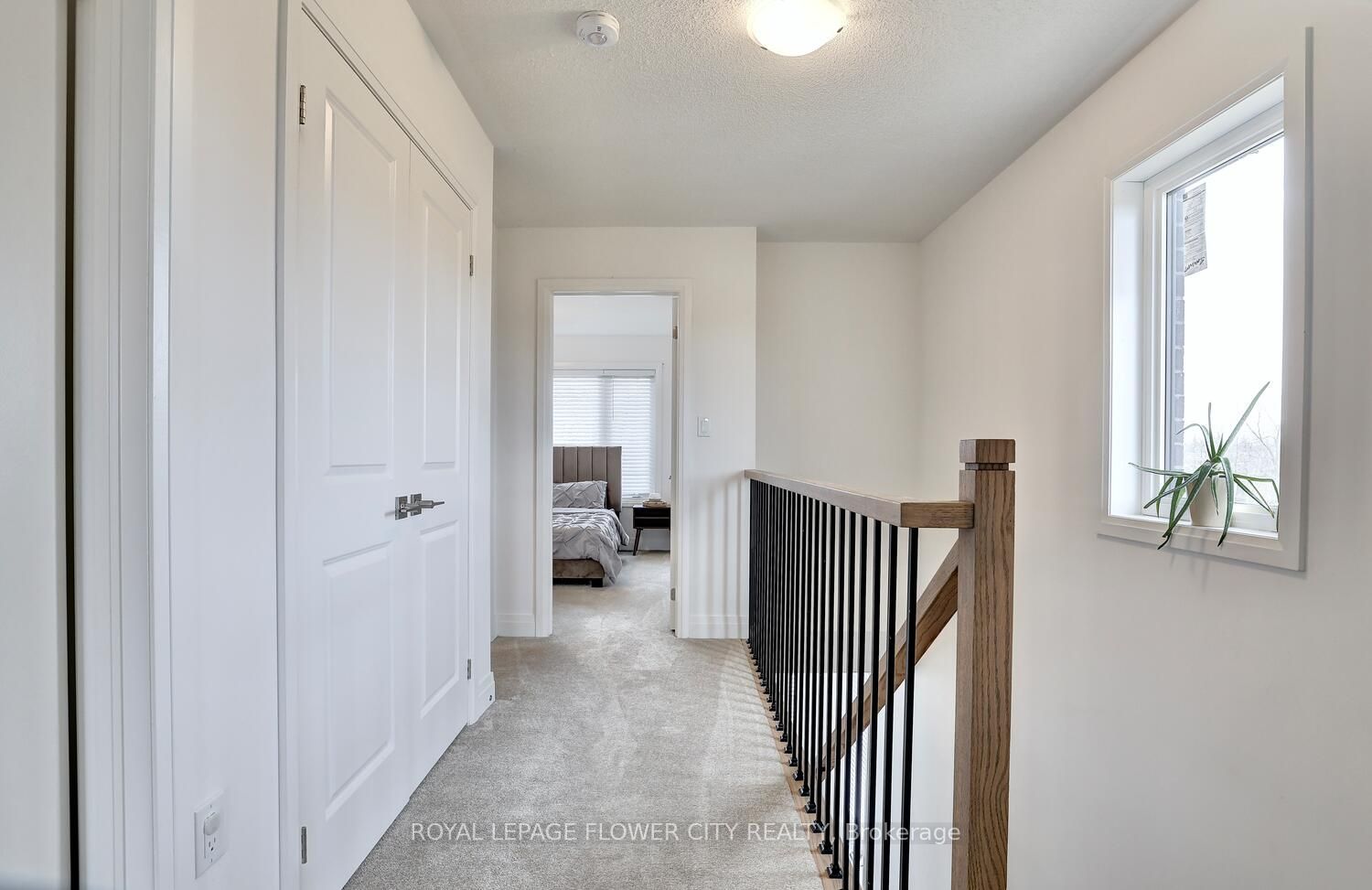 36 Briar Crt Property Photo 20