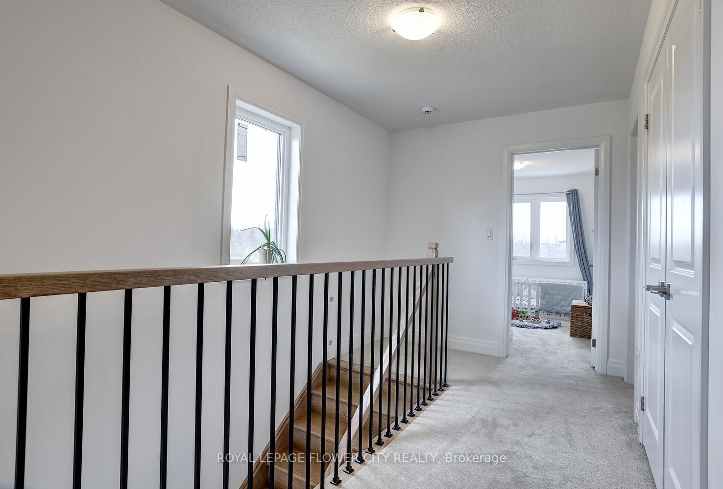 36 Briar Crt Property Photo 24