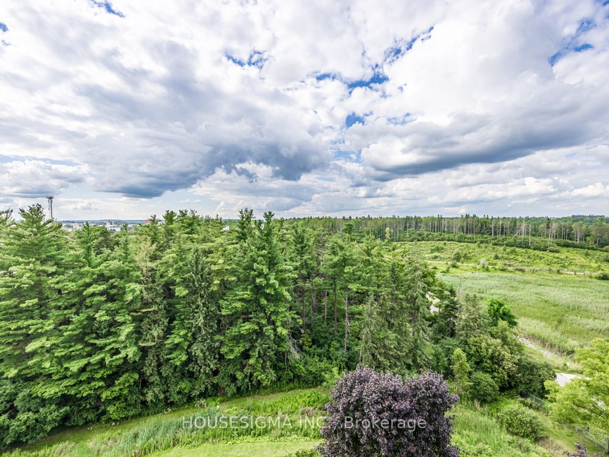 20 Mcfarlane Dr 4 Property Photo 13