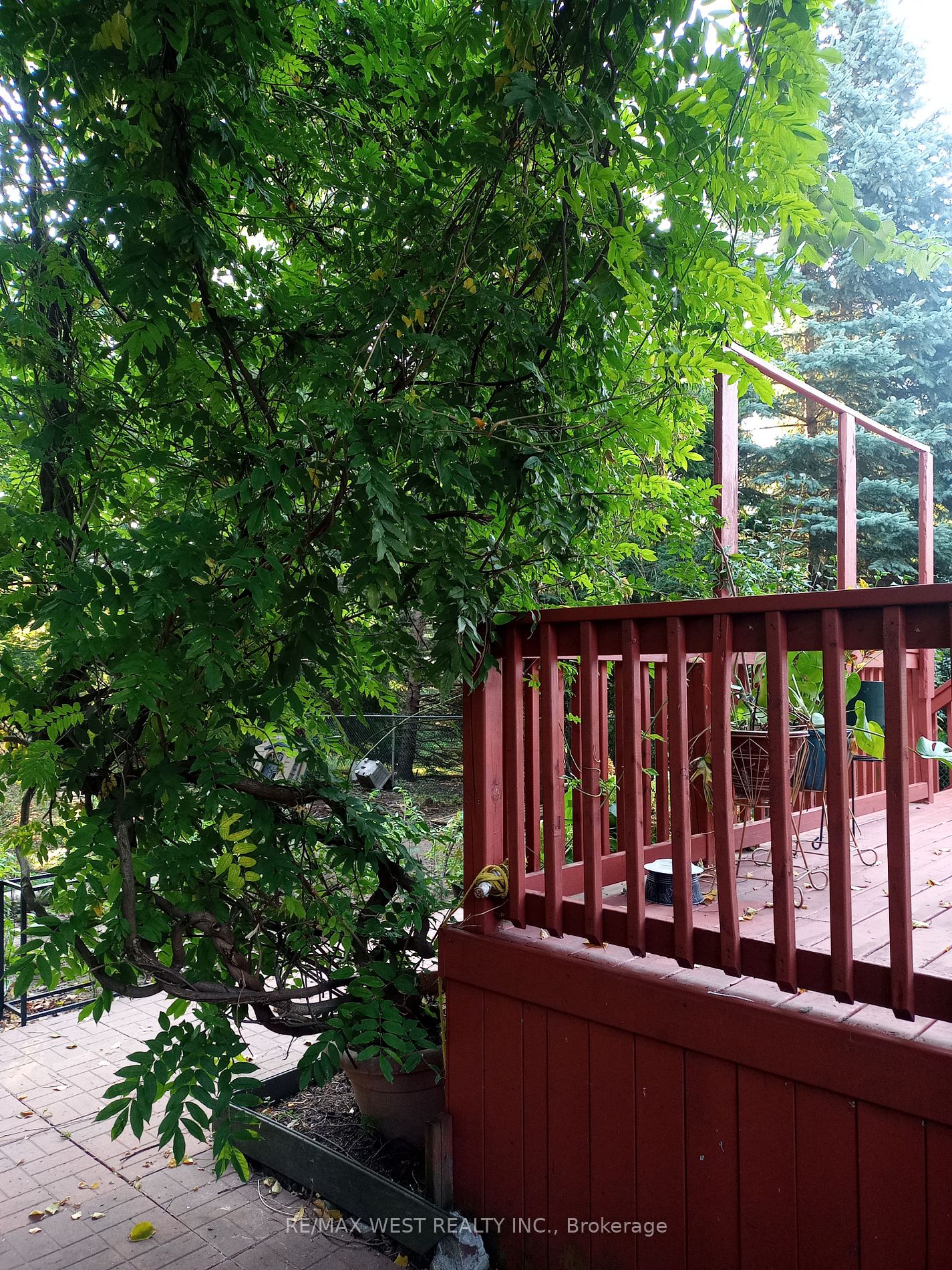 1209 Royal York Rd Property Photo 6