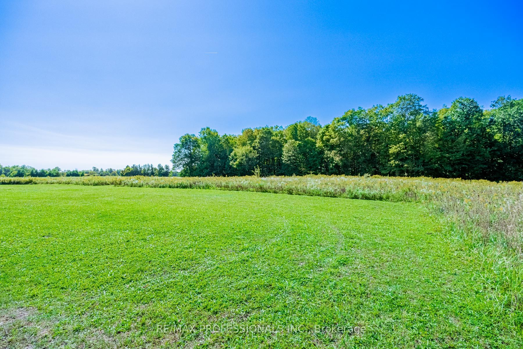 13908 Trafalgar Rd Property Photo 5