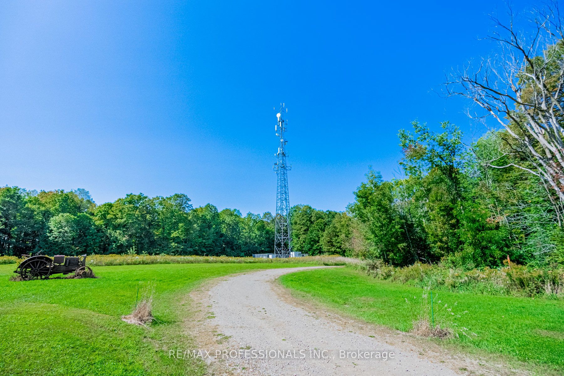 13908 Trafalgar Rd Property Photo 6