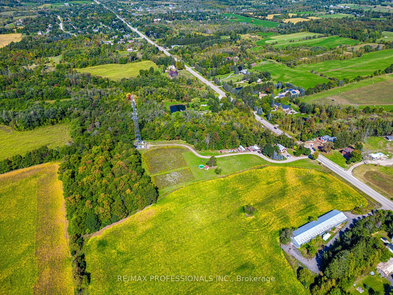 13908 Trafalgar Rd Property Photo 15