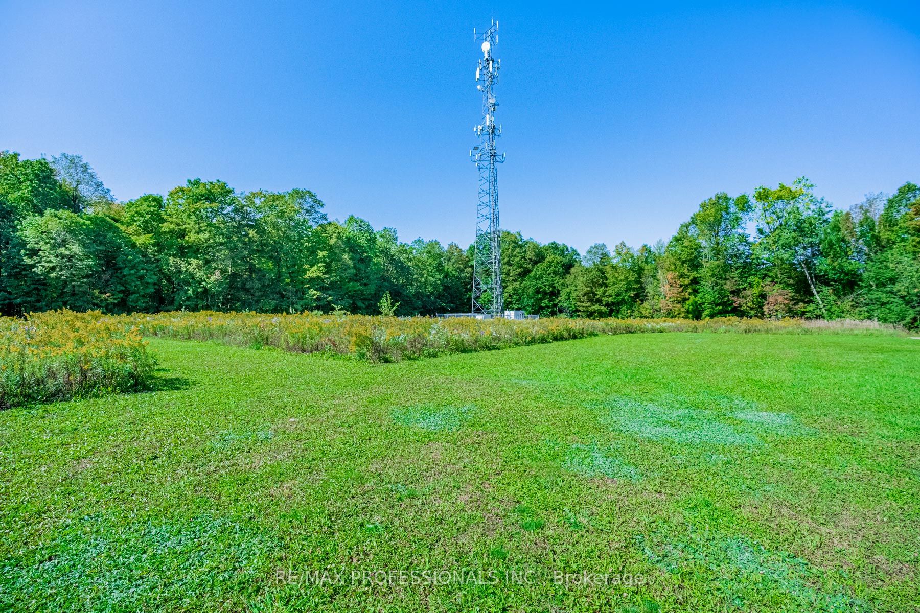 13908 Trafalgar Rd Property Photo 24