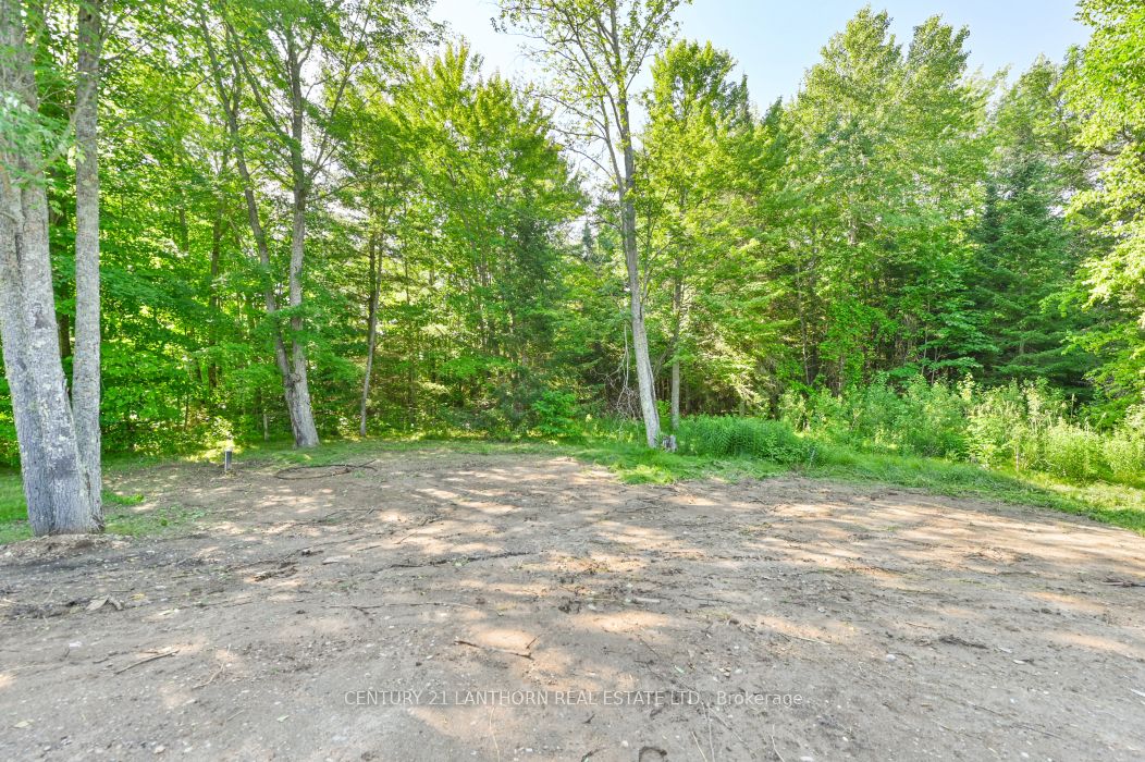 1713 Hollowview Road Property Photo 33