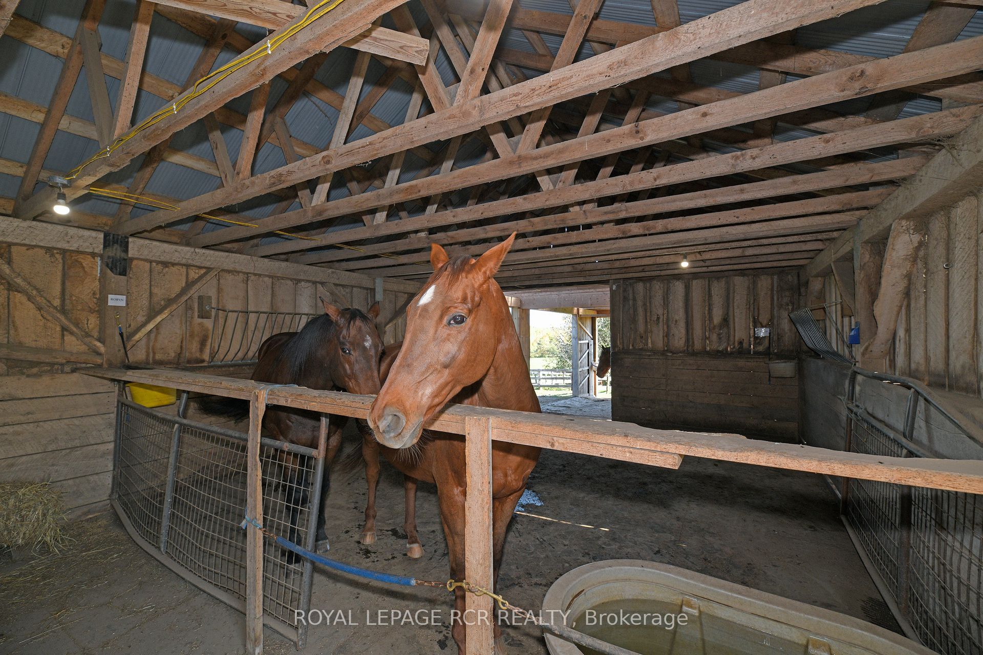071533 10th Line Property Photo 27