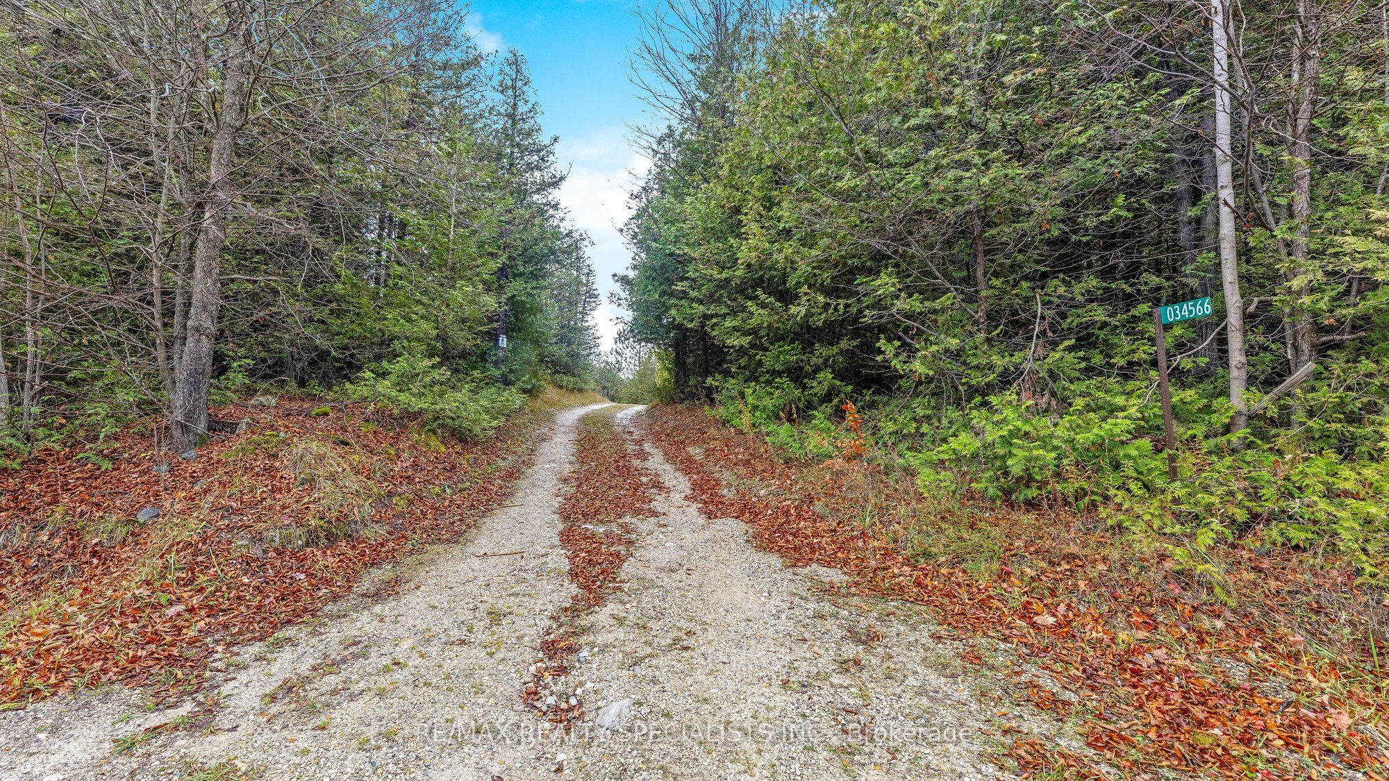 34566 Sideroad 5 Property Photo 24
