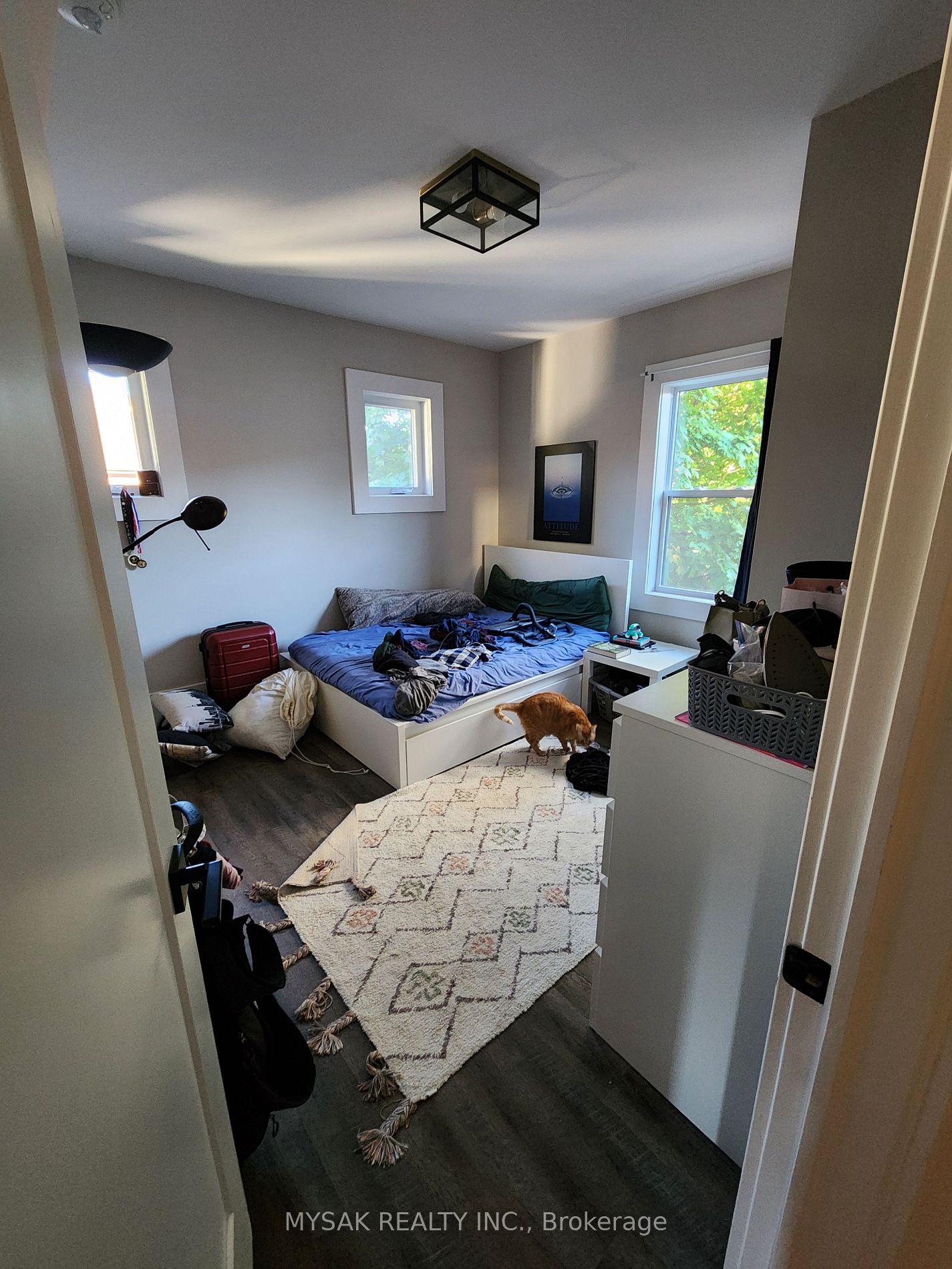 41 Albert St Property Photo 27