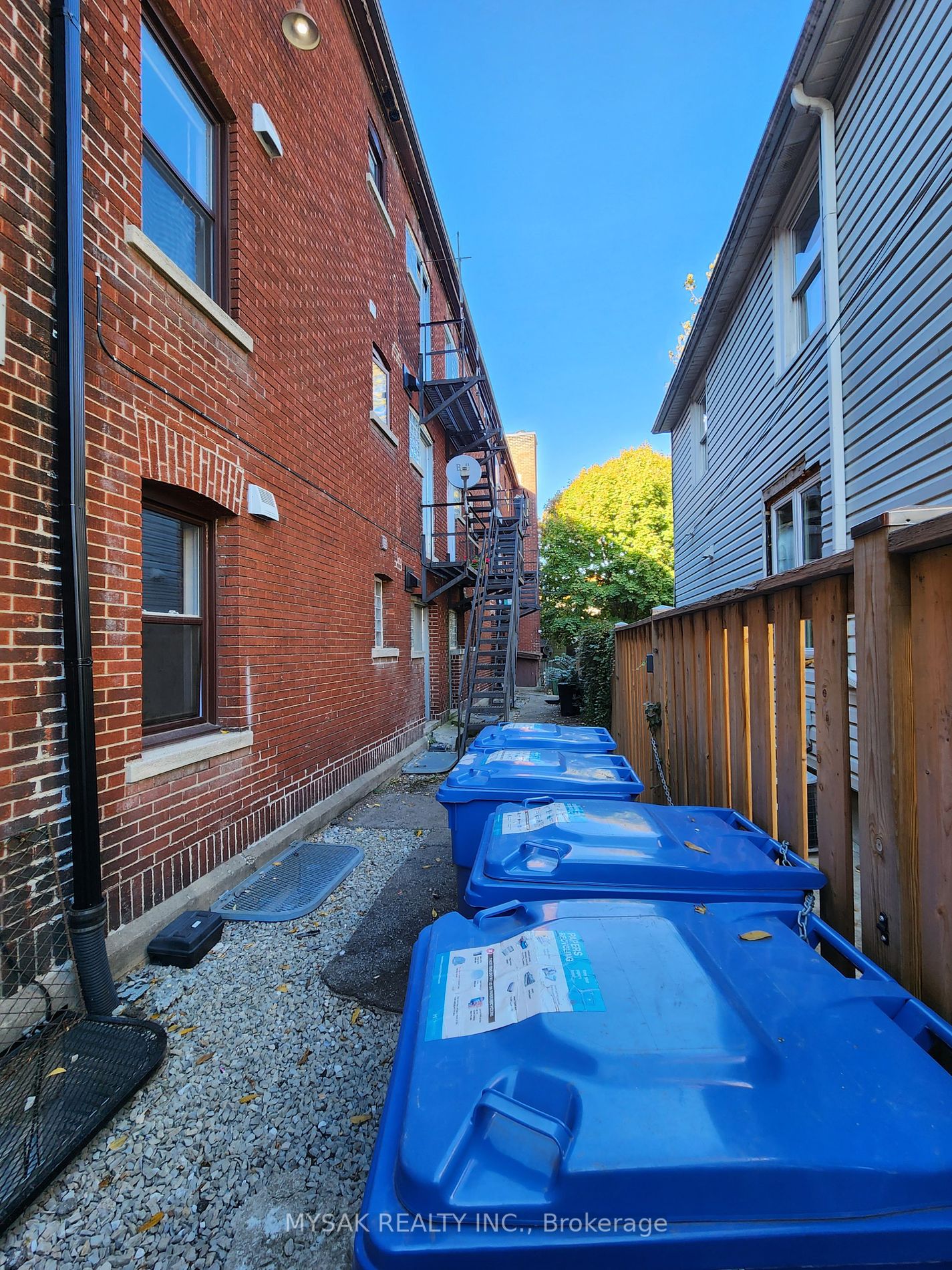 41 Albert St Property Photo 30