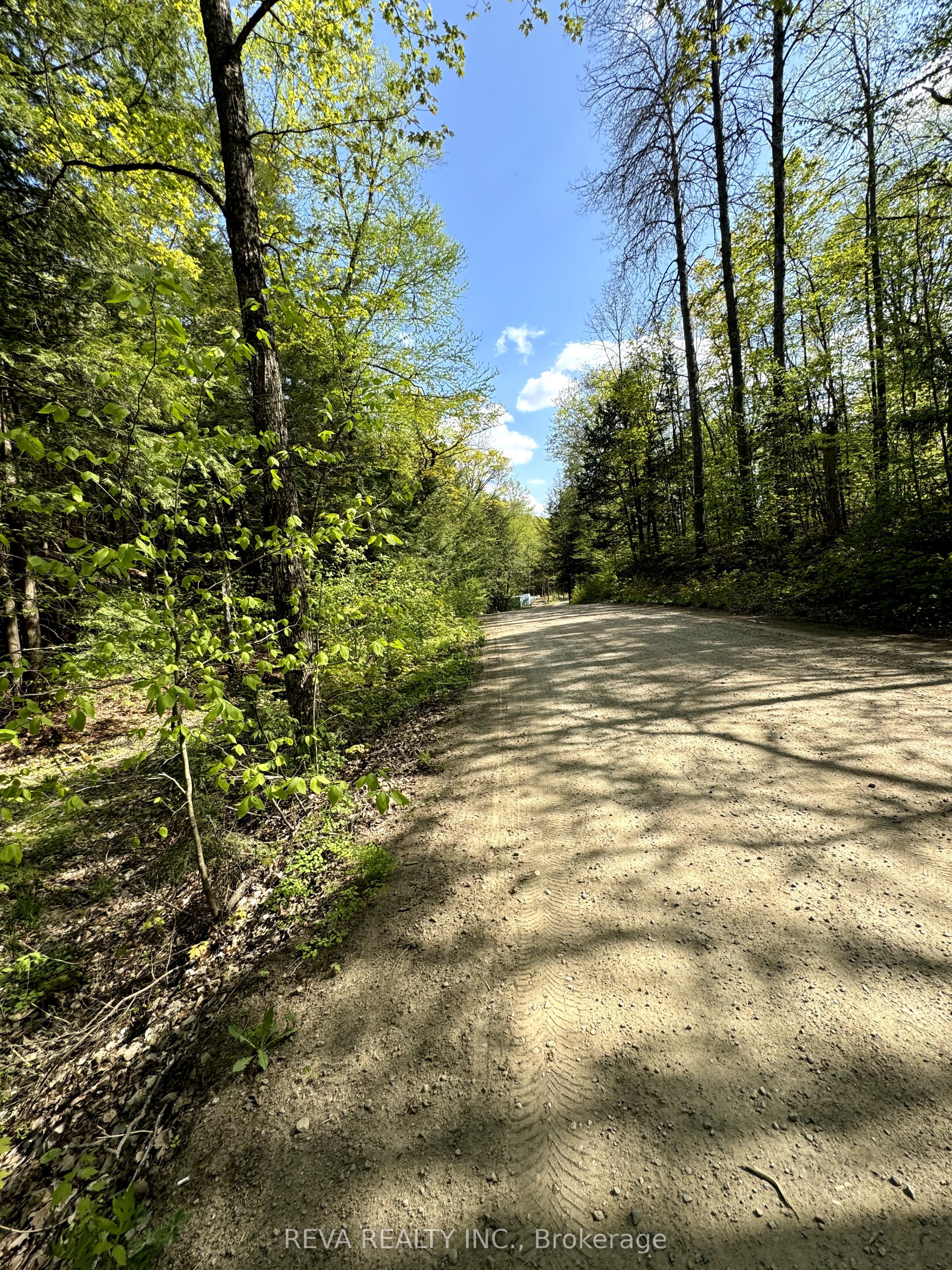 0 Salmon Trout Lake Road Property Photo 2