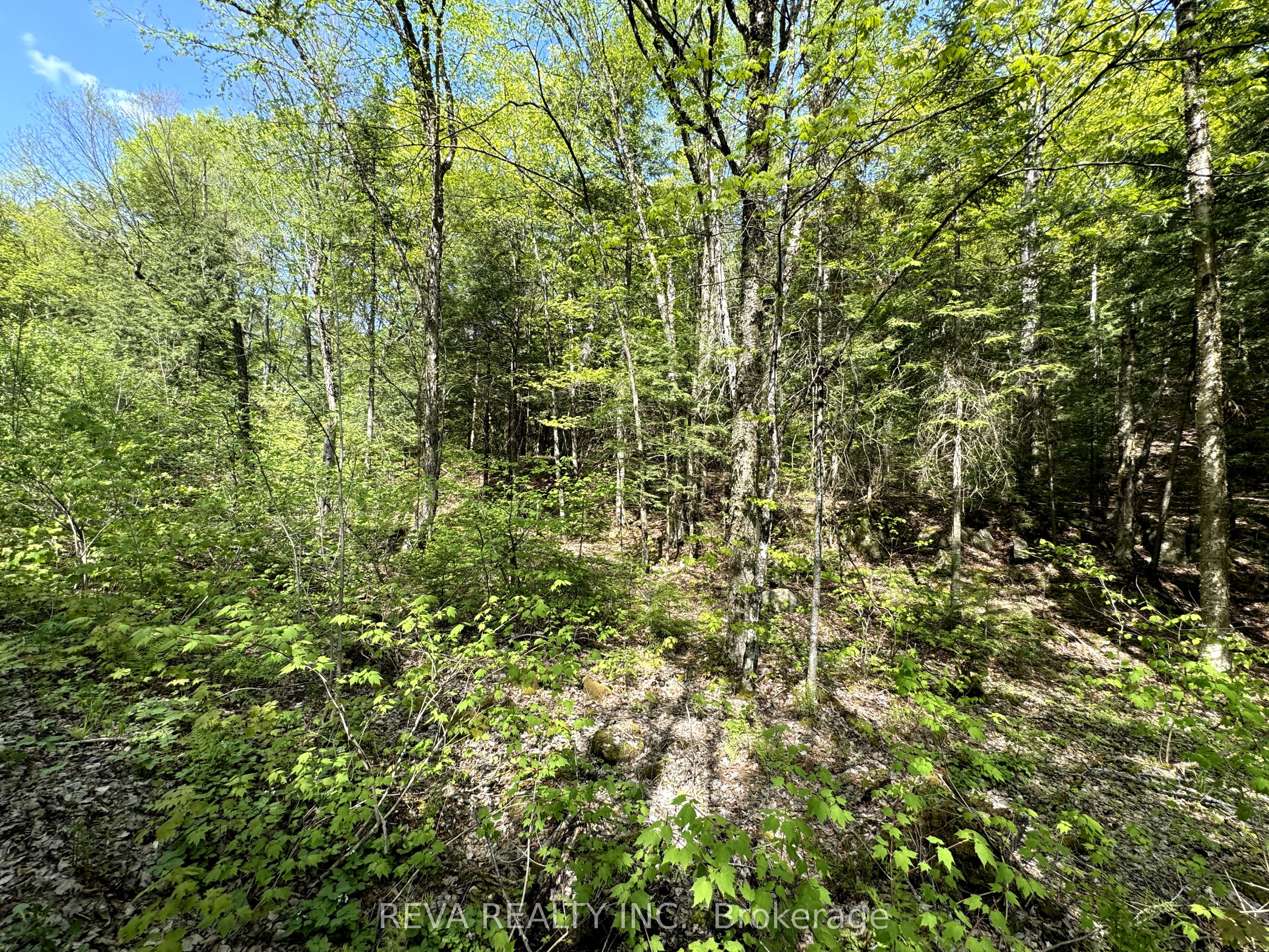 0 Salmon Trout Lake Road Property Photo 3