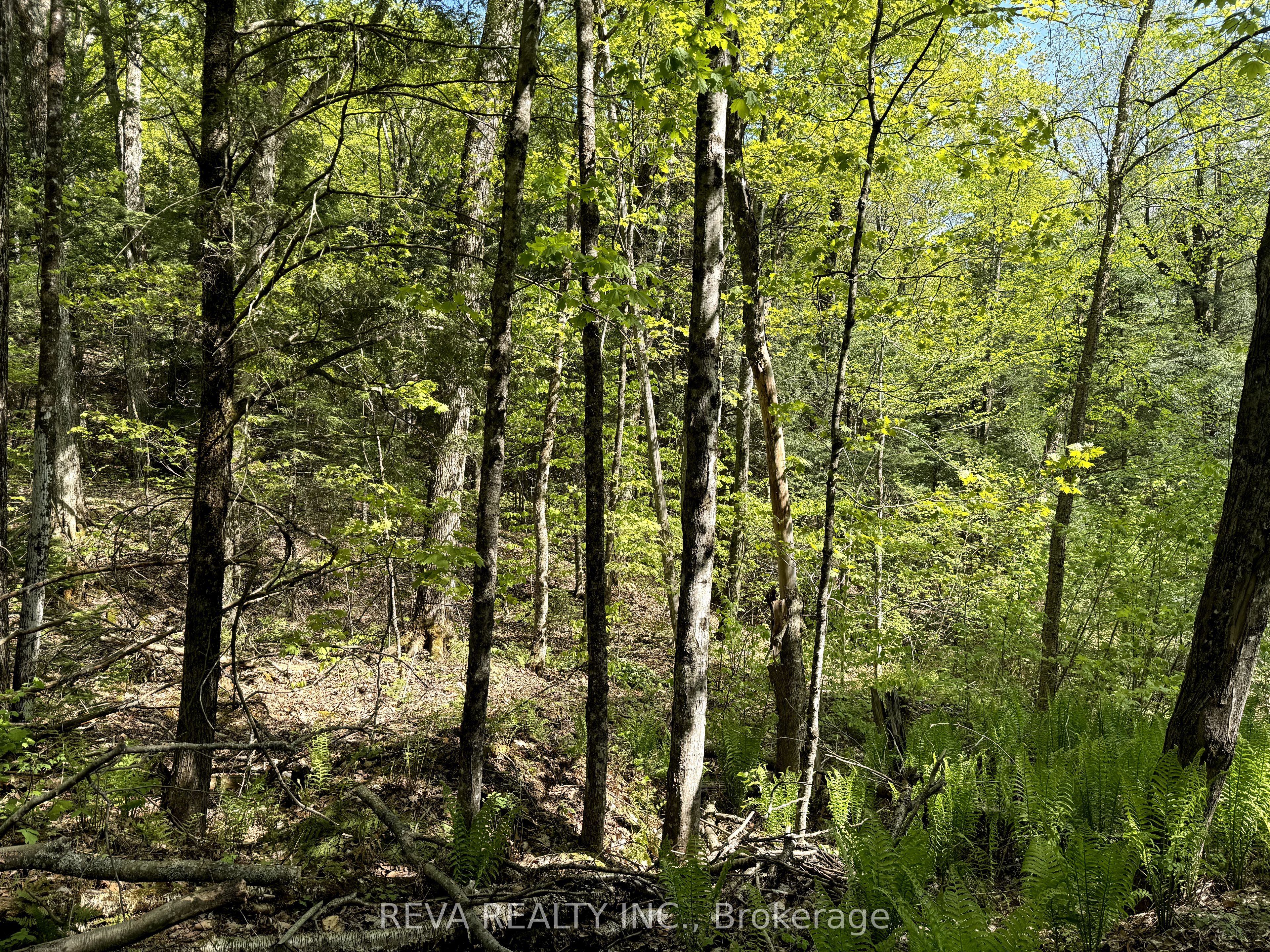 0 Salmon Trout Lake Road Property Photo 8