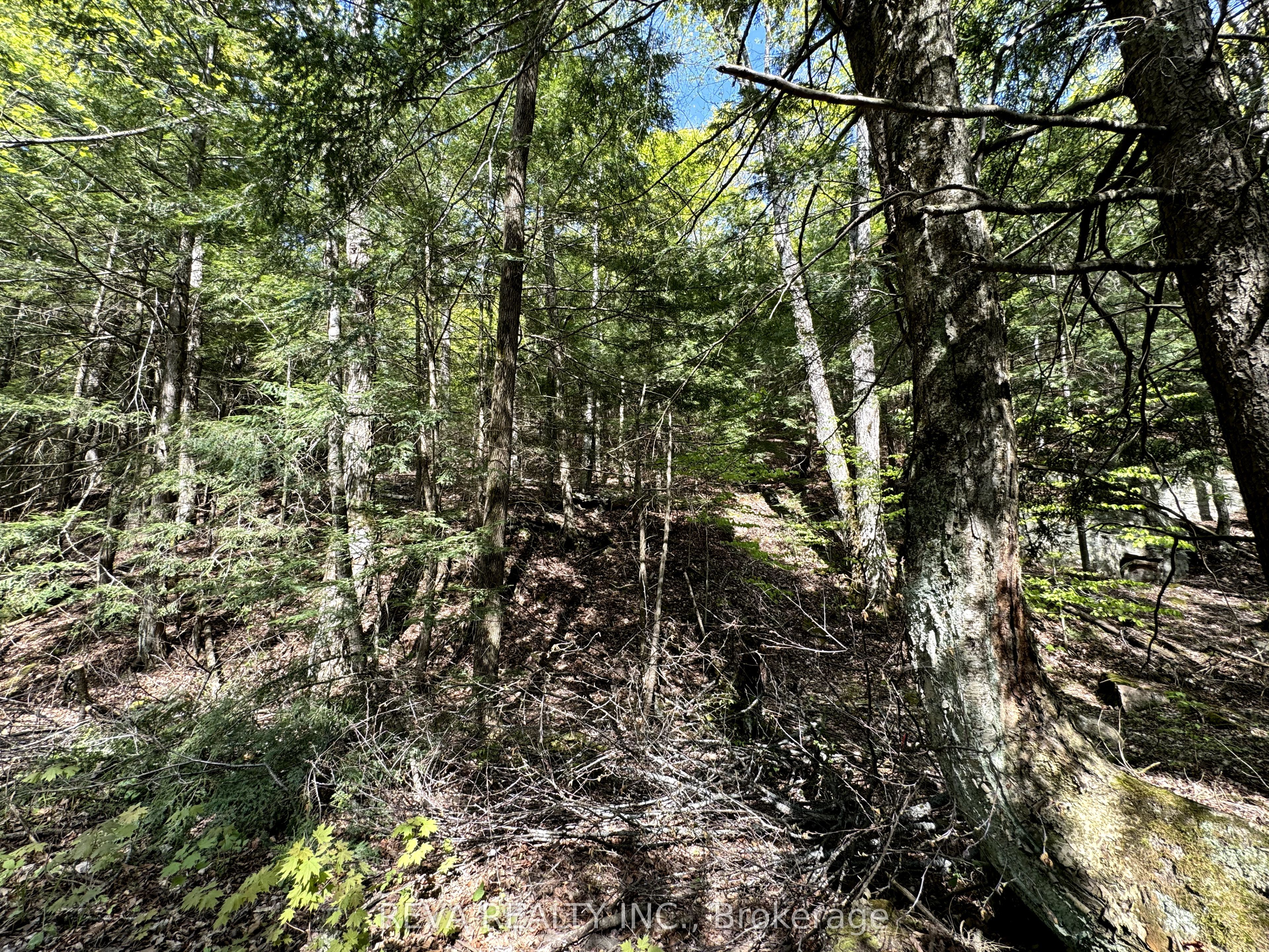0 Salmon Trout Lake Road Property Photo 12