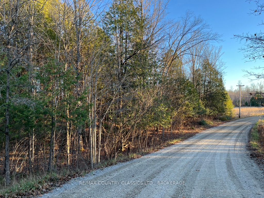 0 Bull Lake Road Property Photo 2