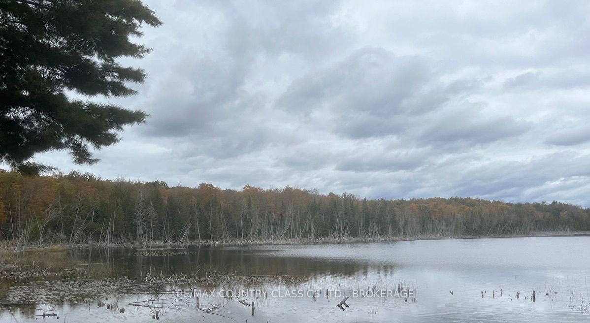 0 Bull Lake Road Property Photo 3