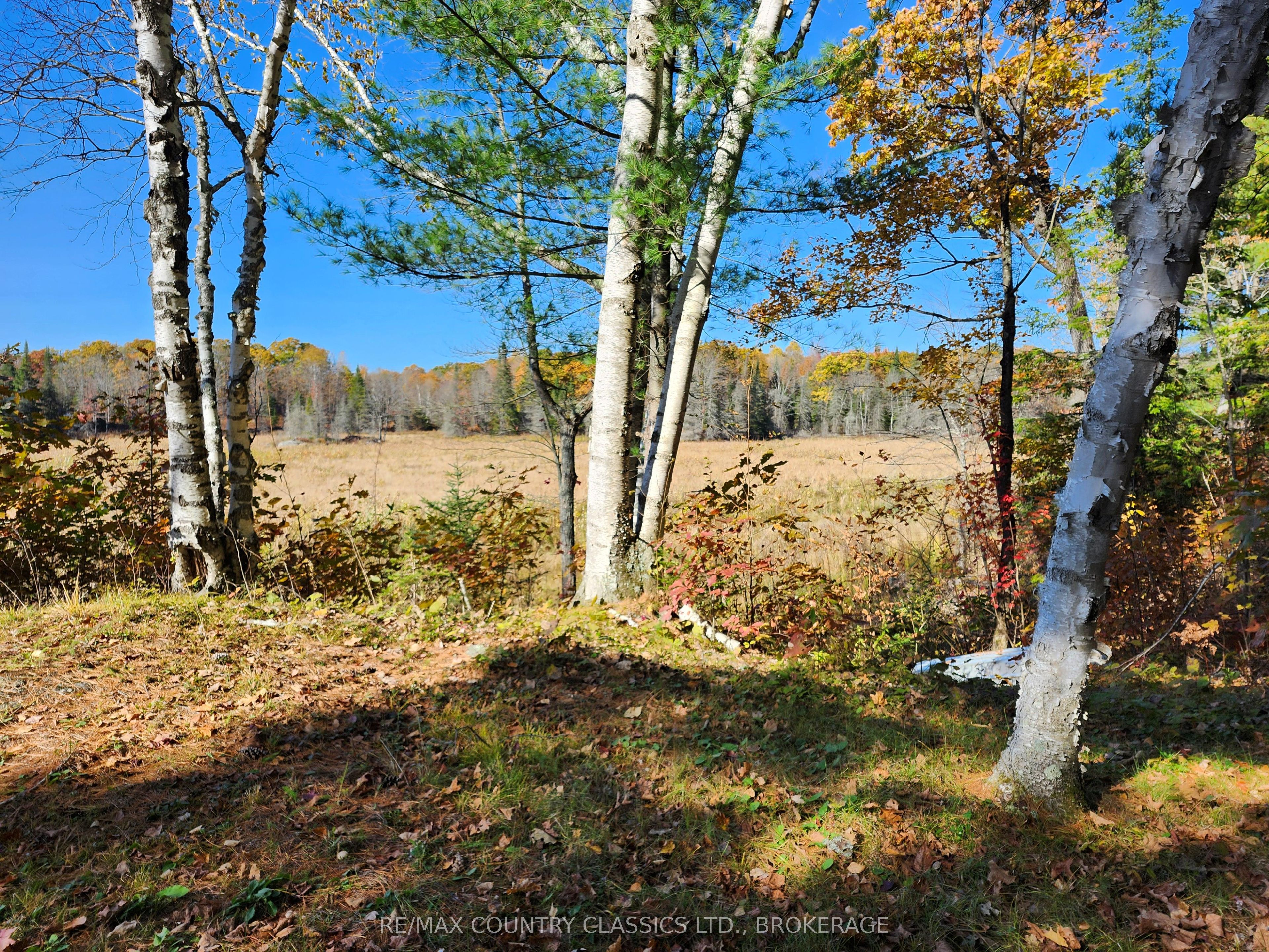 1116 Greer Road Property Photo 5