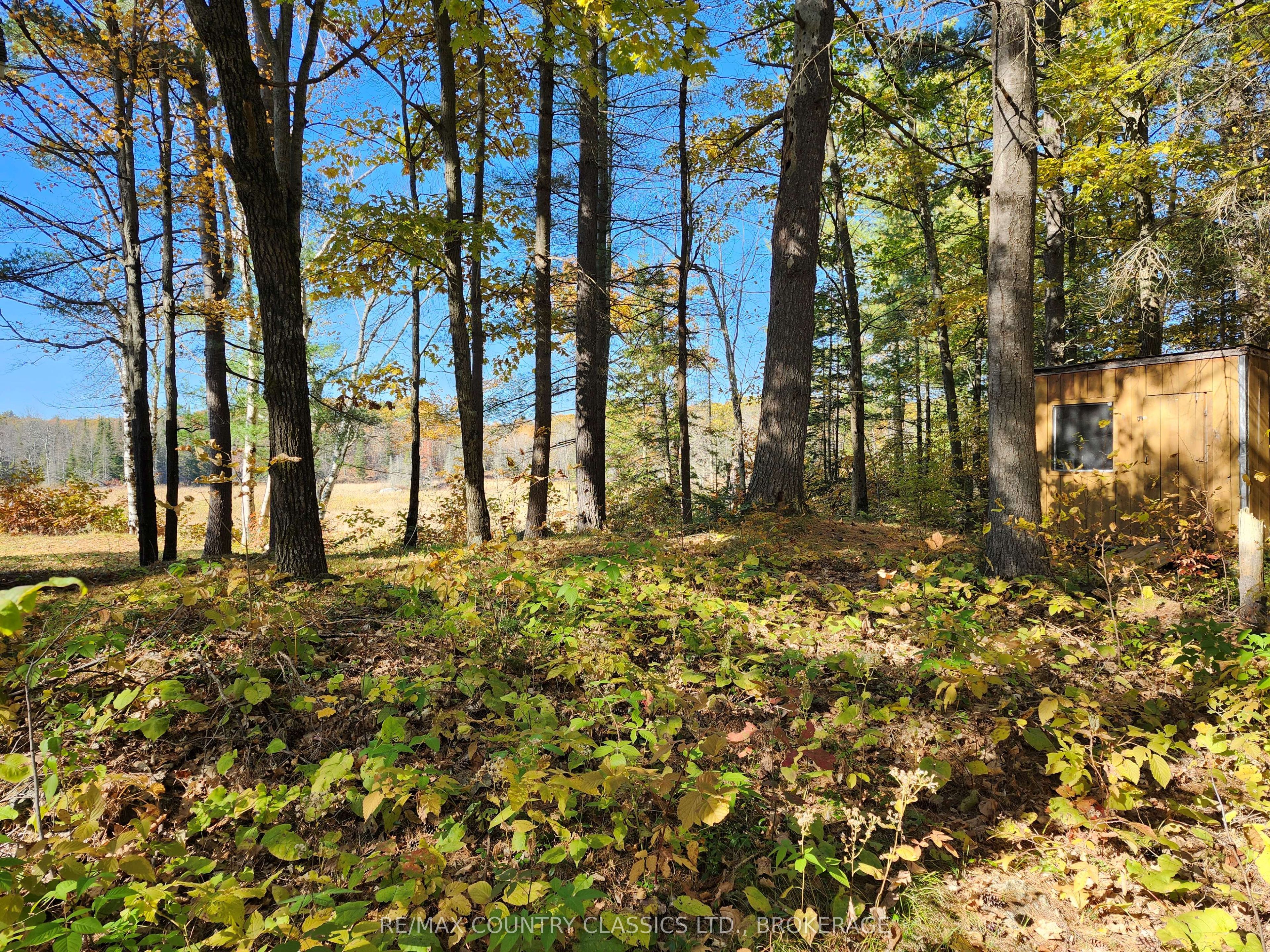 1116 Greer Road Property Photo 6