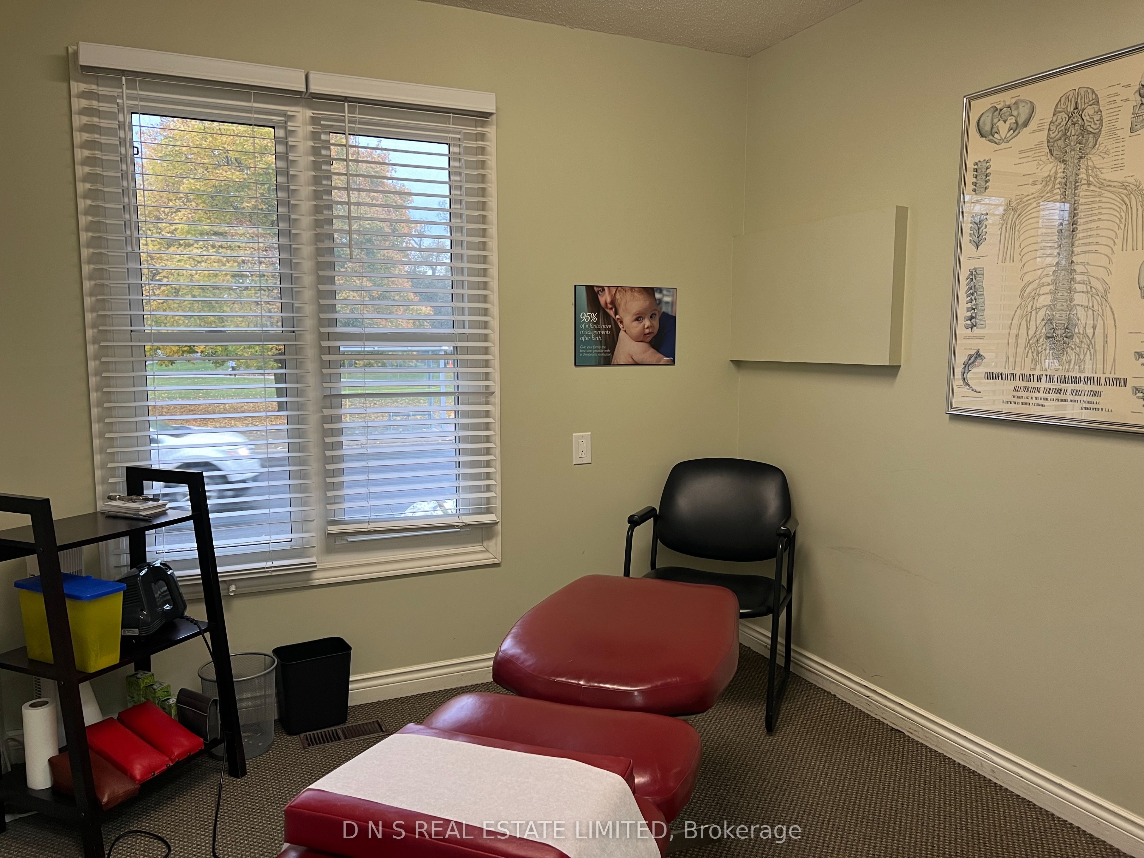 166 Mcdonnel Street Property Photo 35