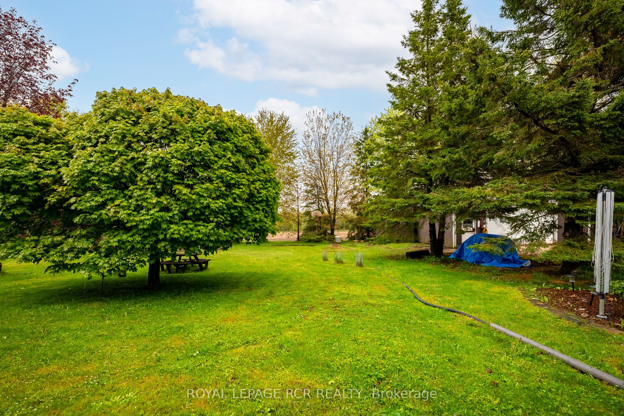 433409 4th Line Property Photo 35