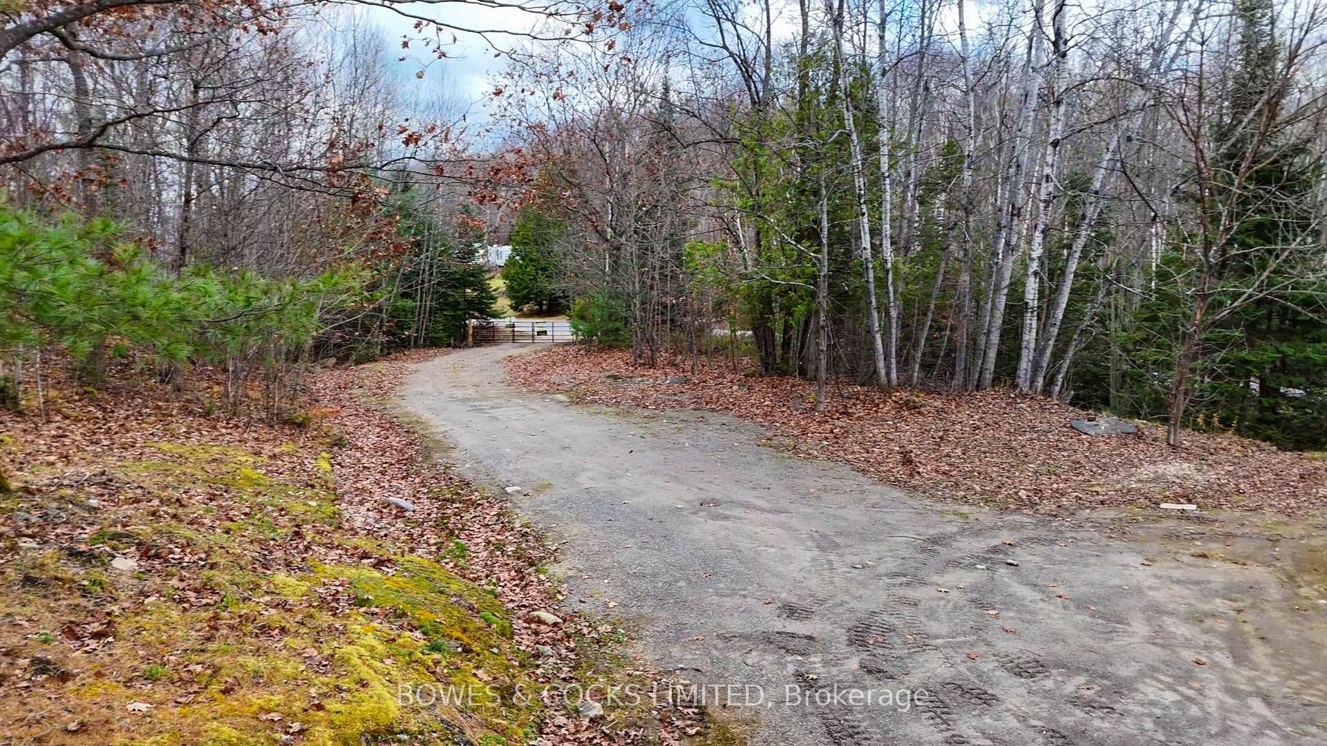154 Little Ireland Road Property Photo
